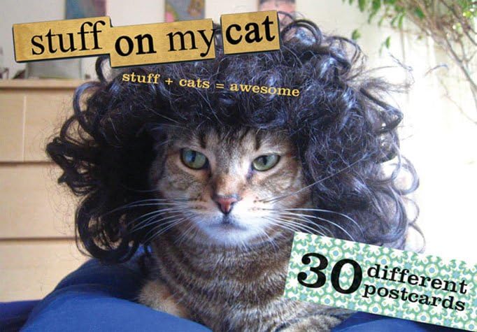 Stuff On My Cat: The Postcard Box - 30 Postcards Lifestyle