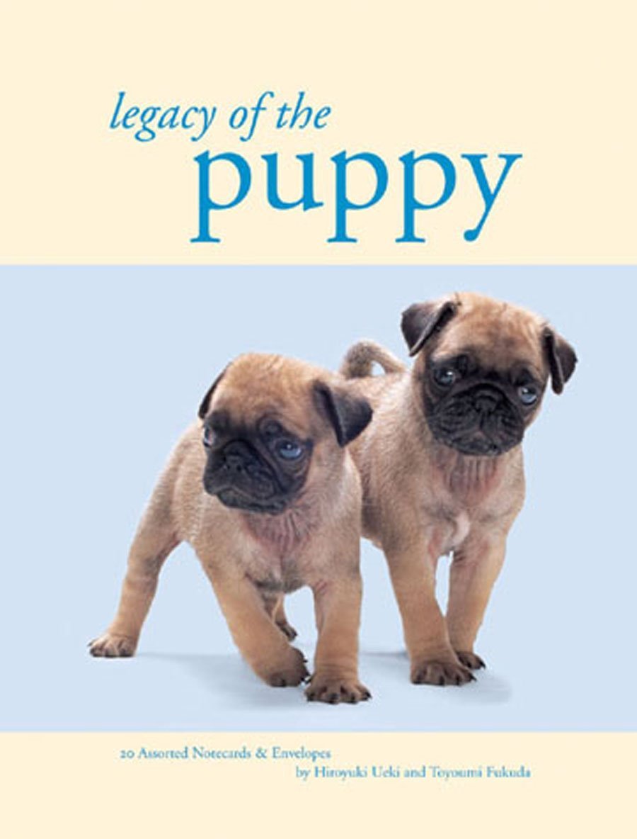Legacy of the Puppy Deluxe Notecards Lifestyle