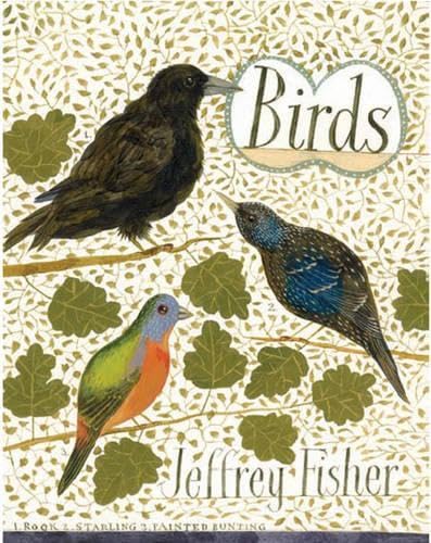 Birds: Illustrations by Jeffrey Fisher Mathematics