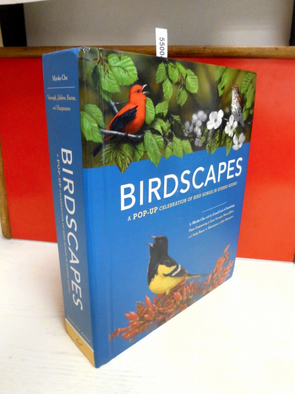 Birdscapes: A Pop-Up Celebration of Bird Songs in Stereo Sound Mathematics