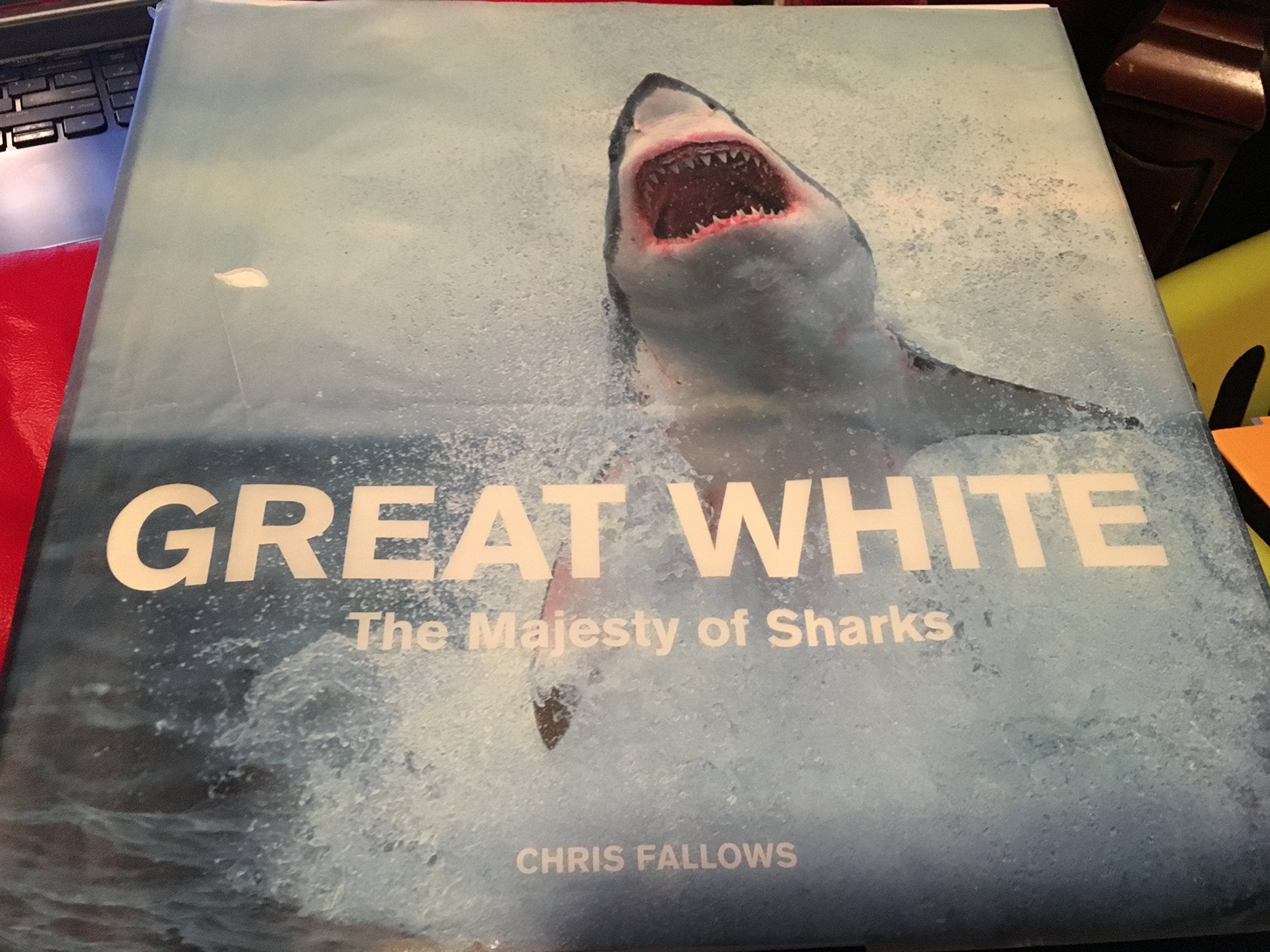 Great White: The Majesty of Sharks book