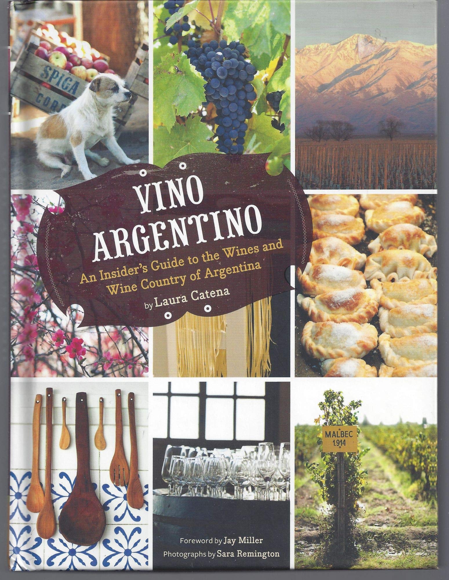 Vino Argentino: An Insider's Guide to the Wines and Wine Country of Argentina Leisure, Home & Garden