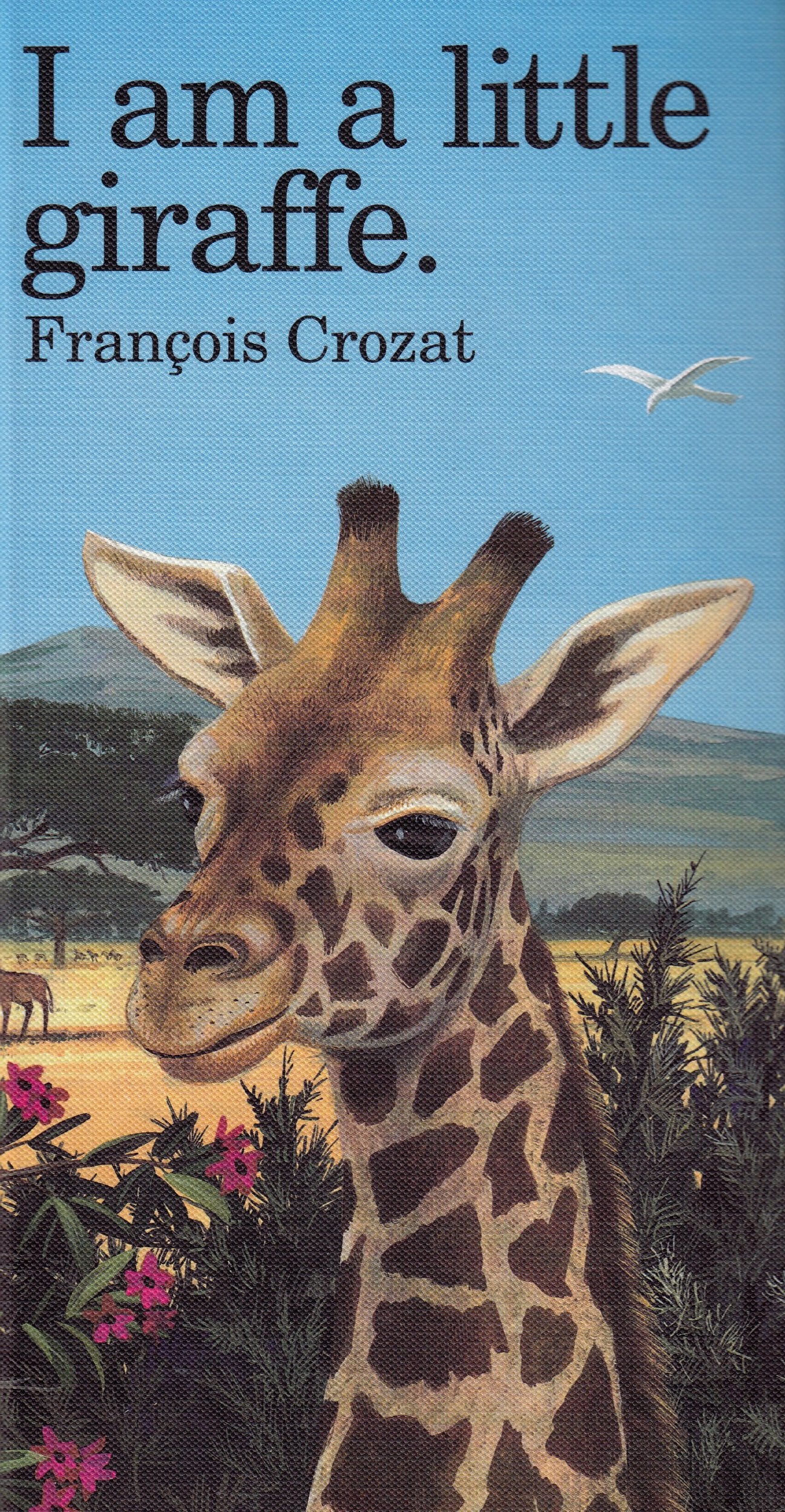 I Am a Little Giraffe book