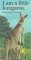 I Am a Little Kangaroo (I Am a Little Animal Series) Novels & Short Stories