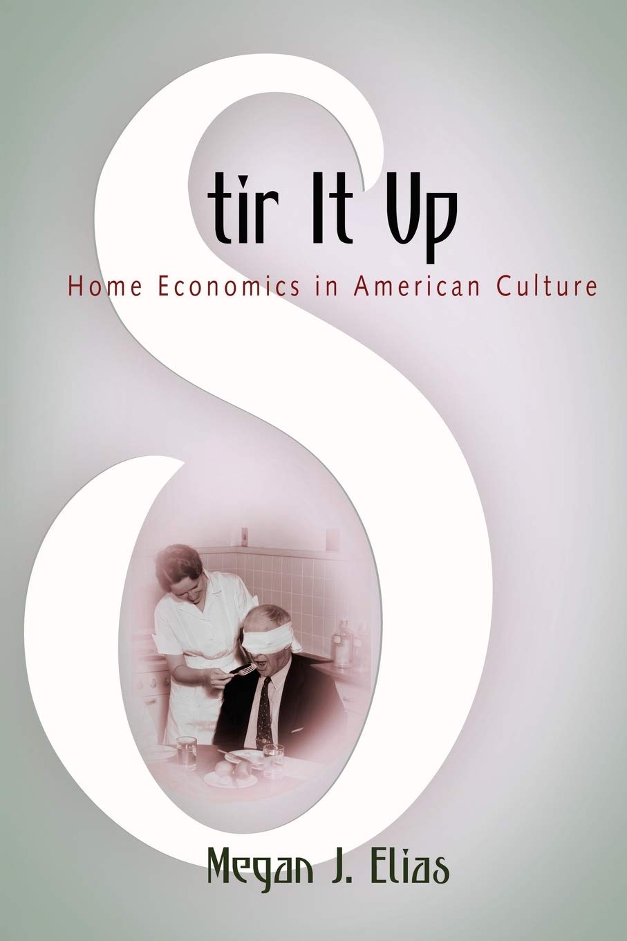 Stir It Up: Home Economics in American Culture Social Sciences