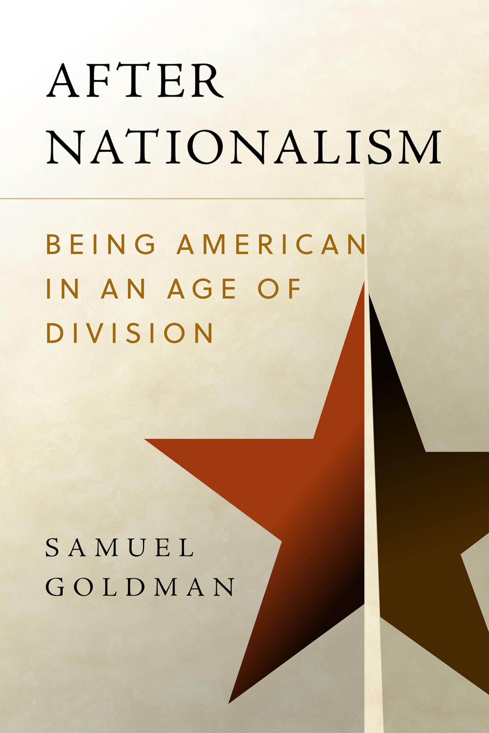 After Nationalism: Being American in an Age of Division (Radical Conservatisms) Social Sciences