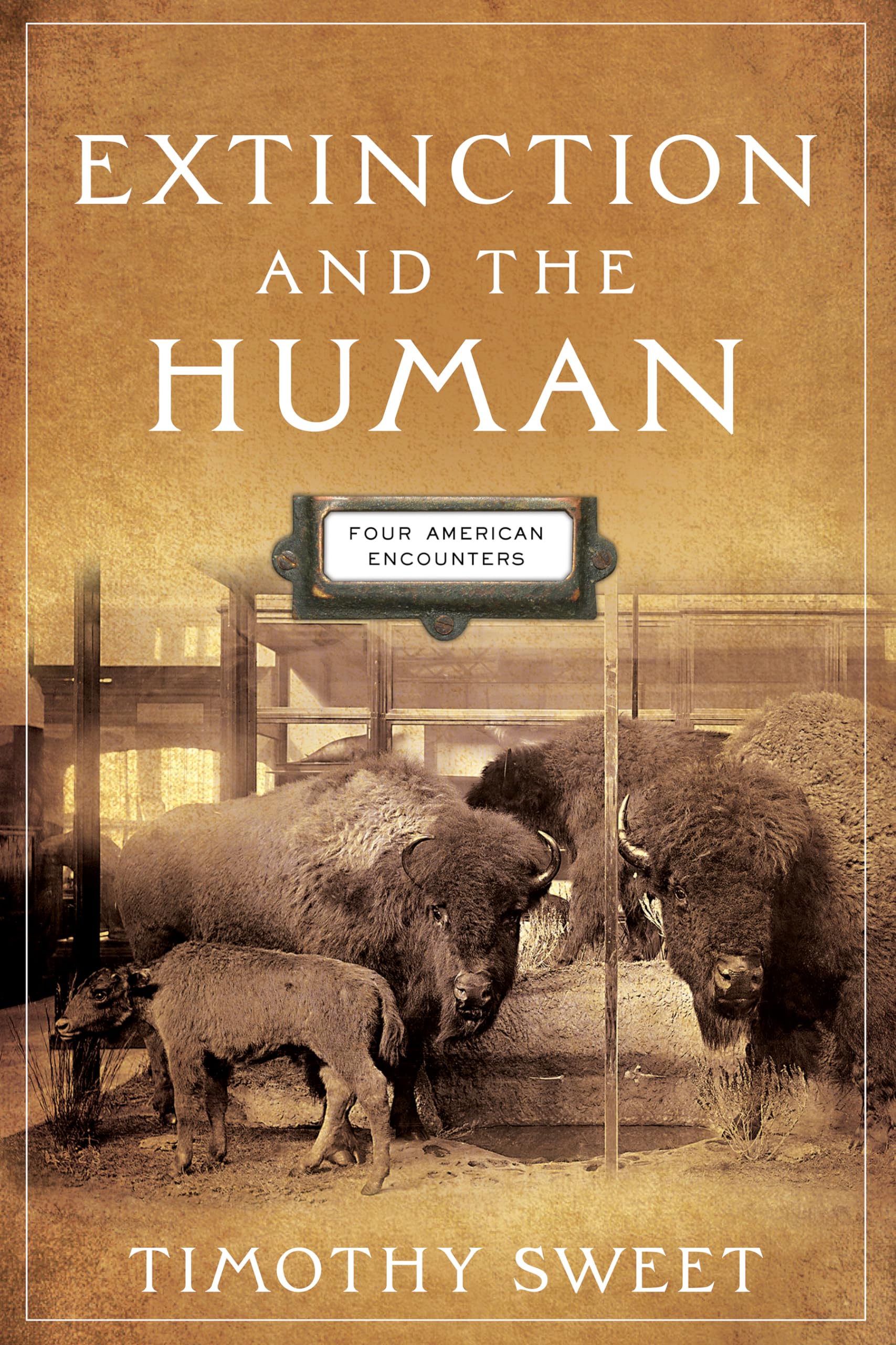 Extinction and the Human: Four American Encounters book
