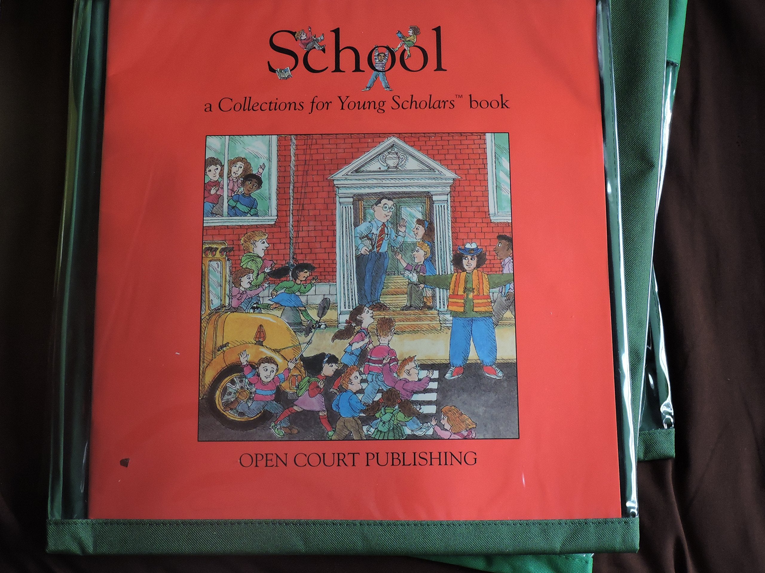 School (A Collections for Young Scholars Book) Books