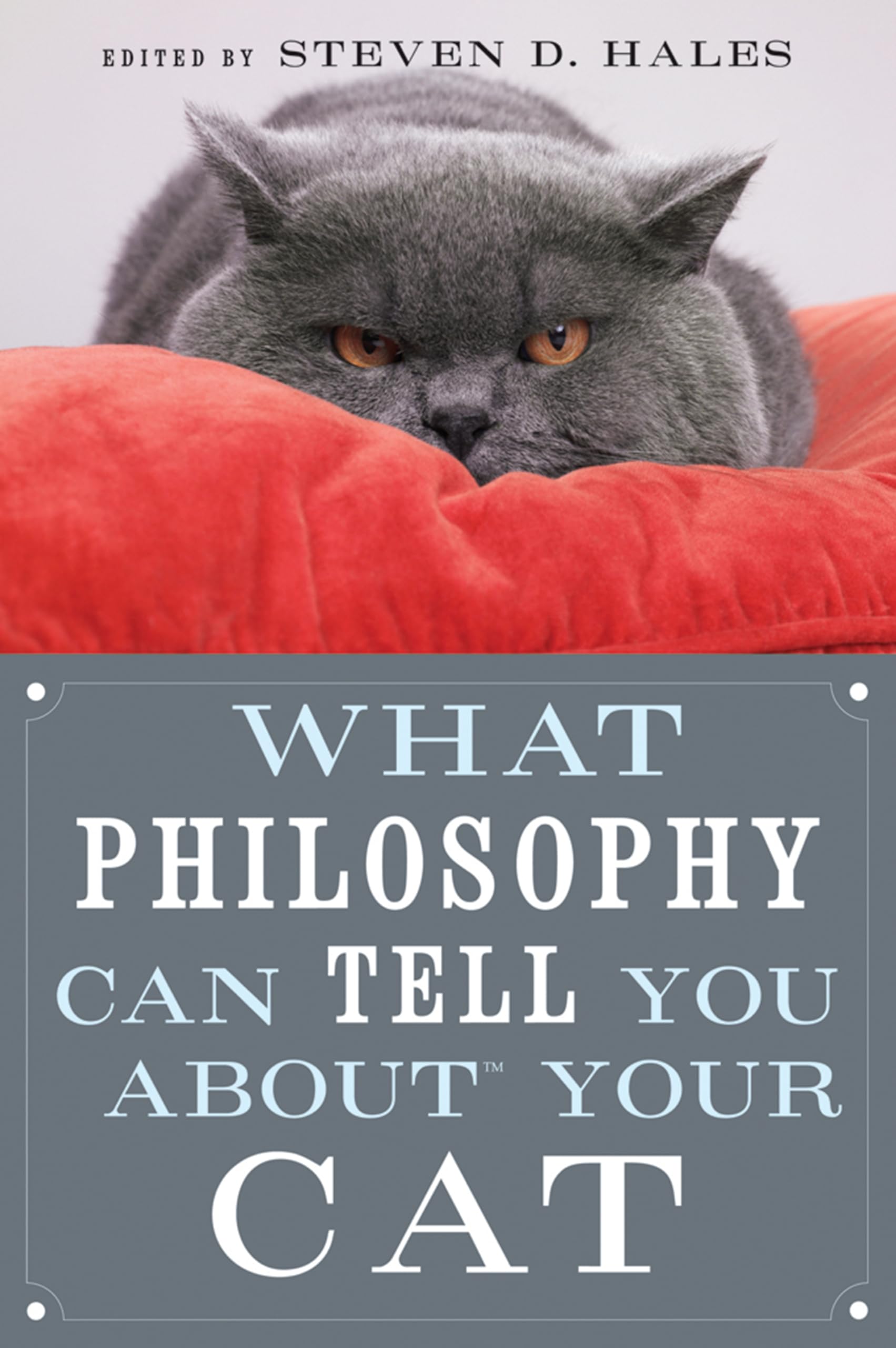What Philosophy Can Tell You about Your Cat Philosophy