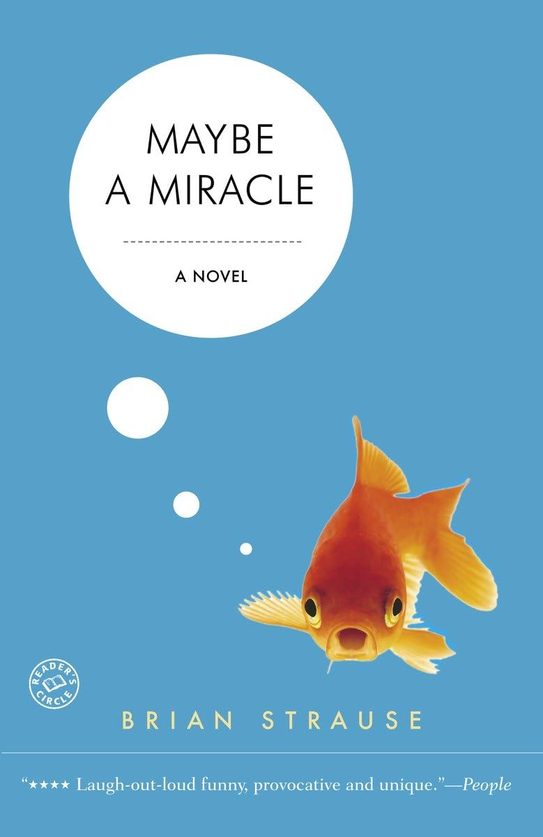 Maybe a Miracle Contemporary literature Books