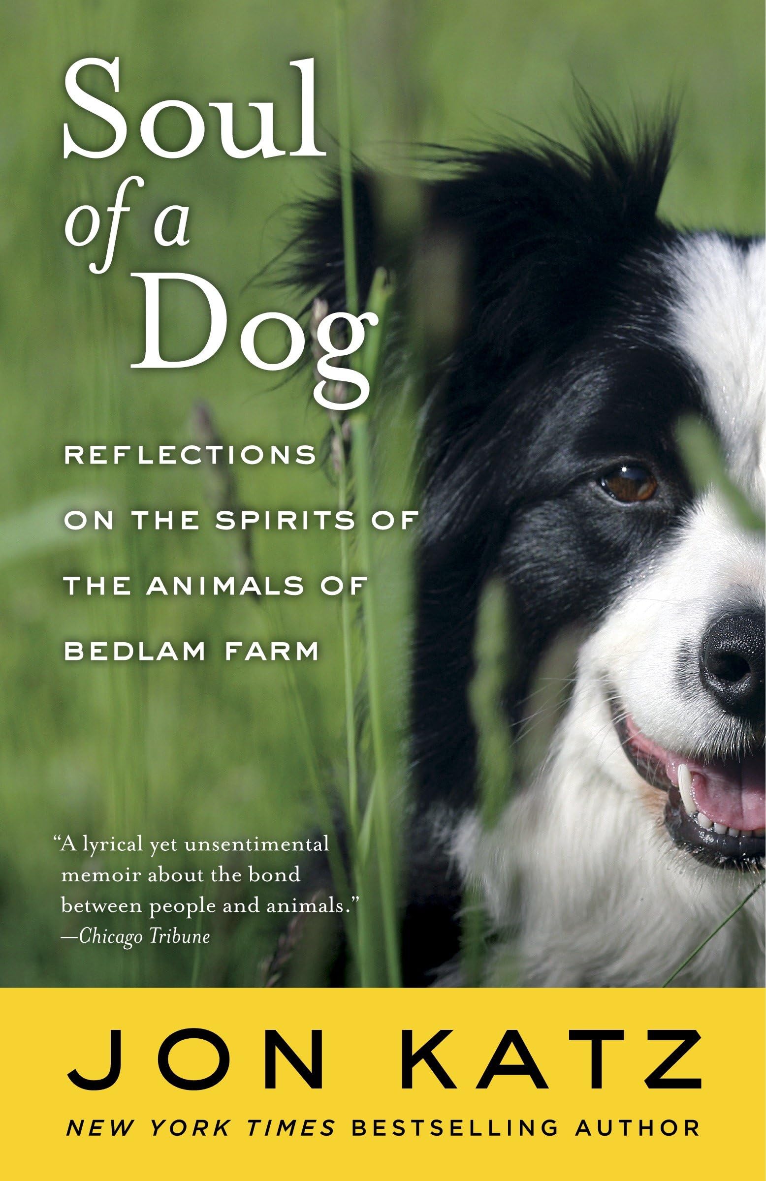 Soul of a Dog book