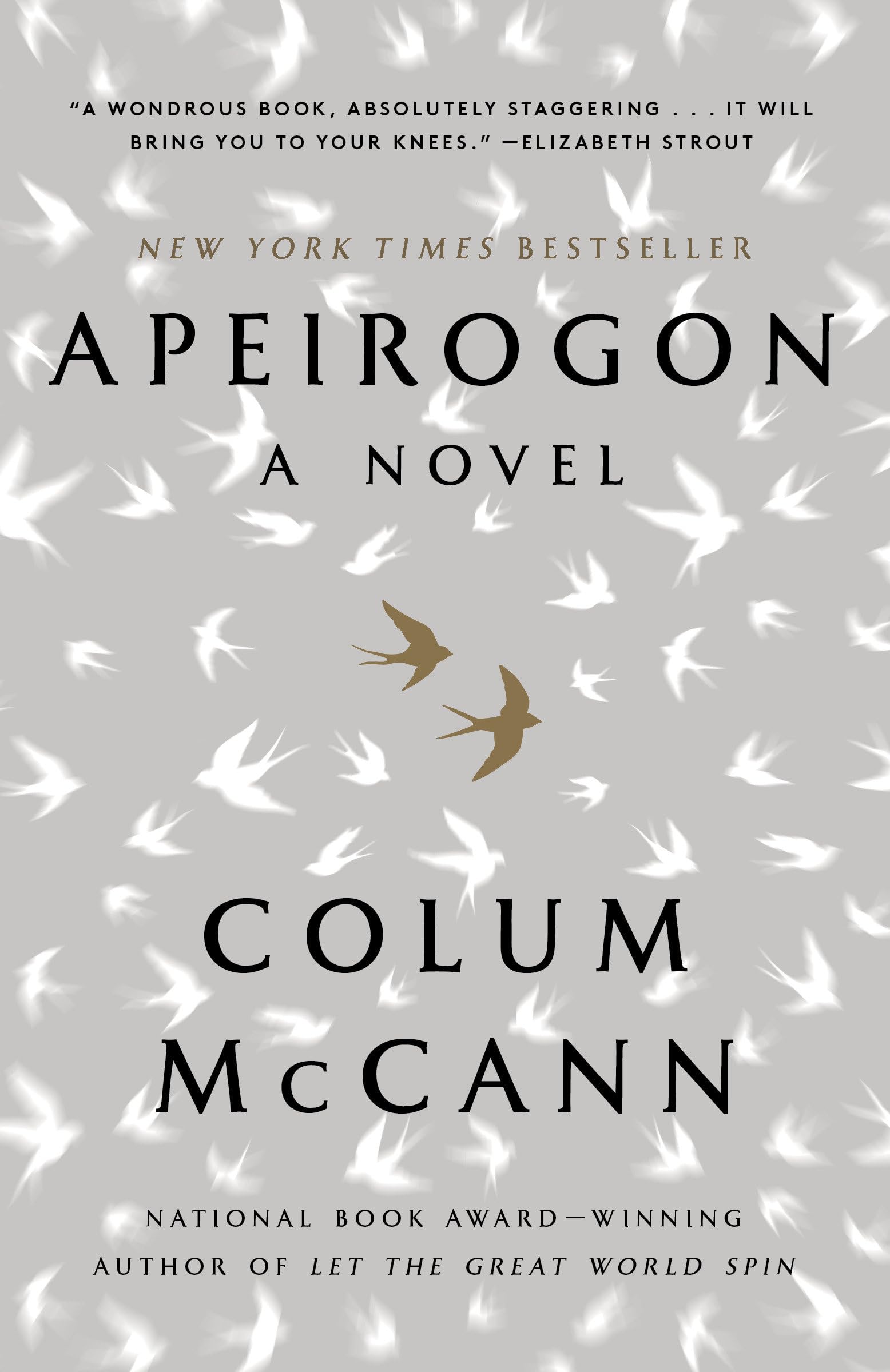 Apeirogon Contemporary literature Books