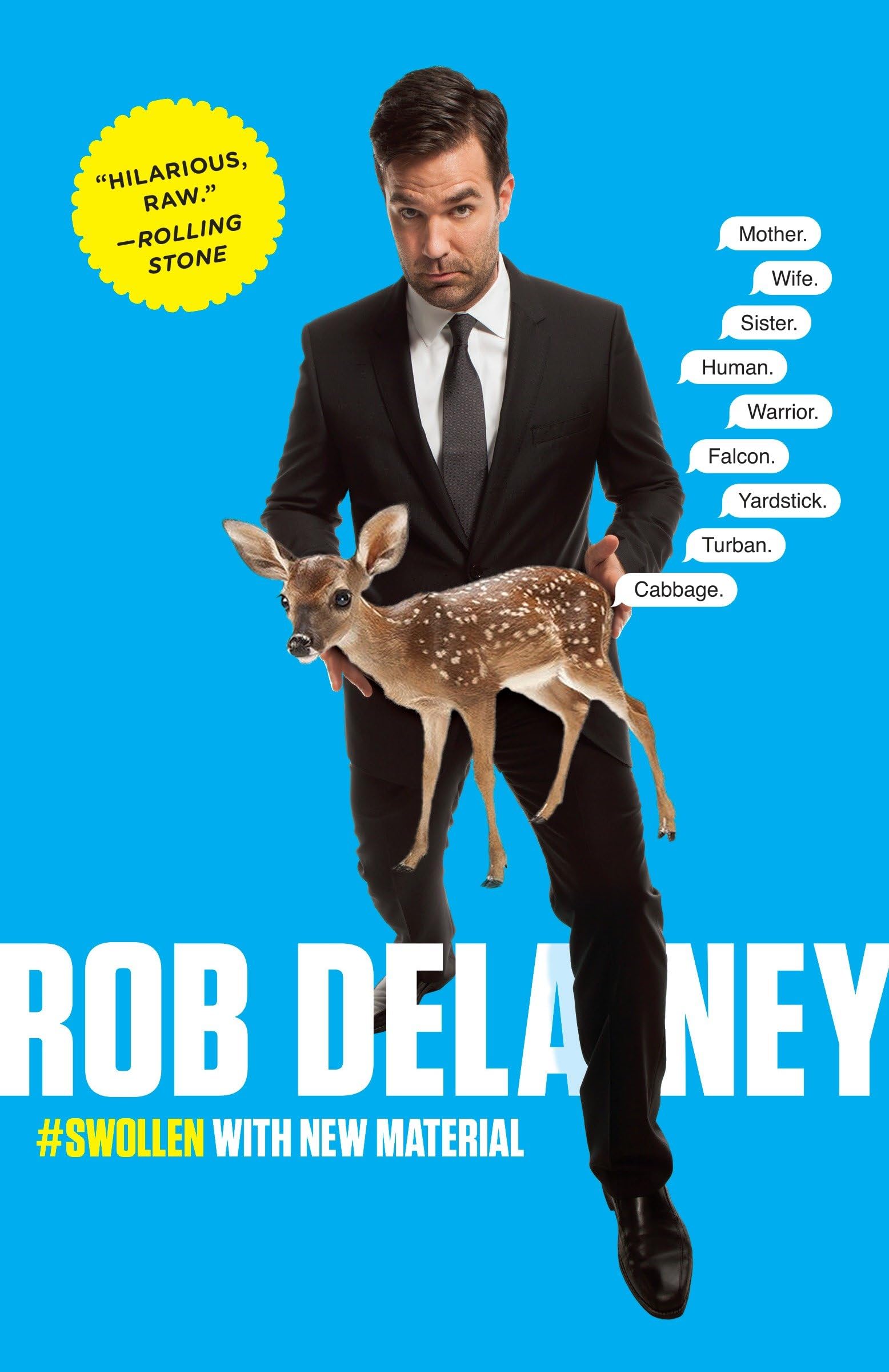 Rob Delaney: Mother. Wife. Sister. Human. Warrior. Falcon. Yardstick. Turban. Cabbage. Essays & Short Stories