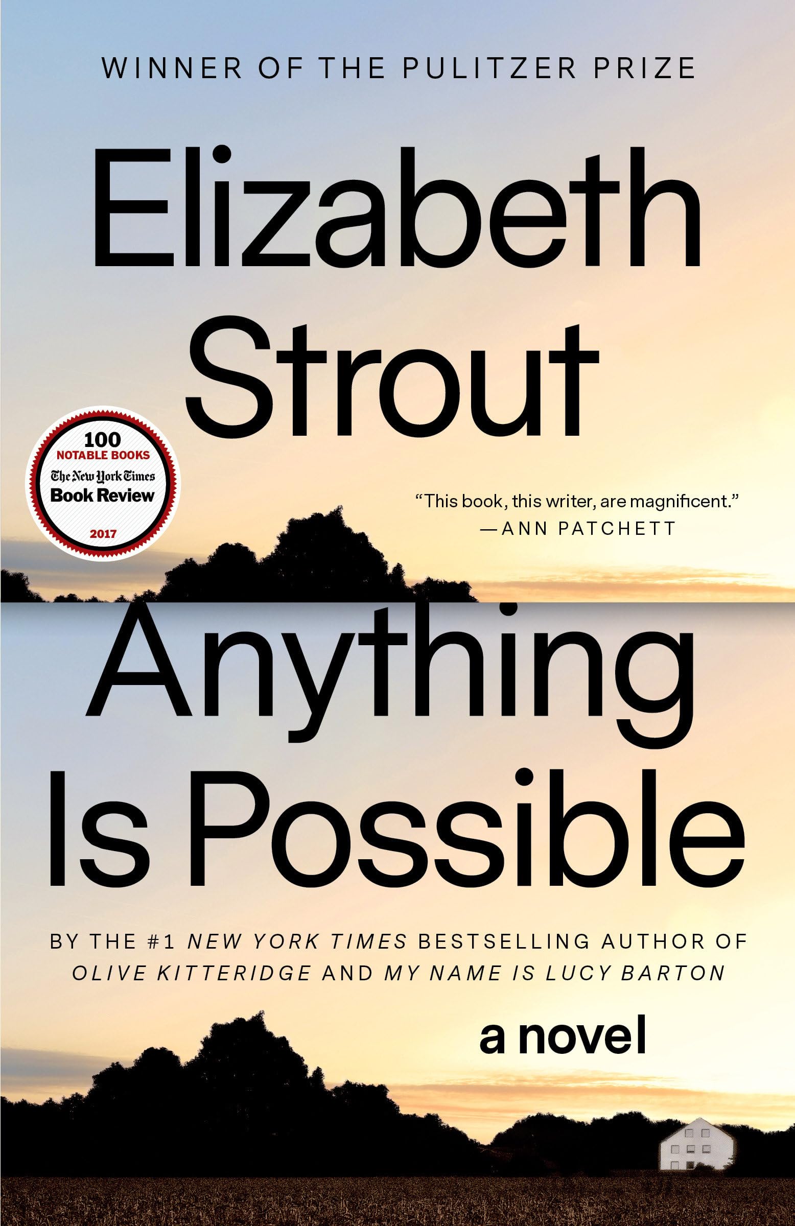Anything Is Possible Contemporary literature Books