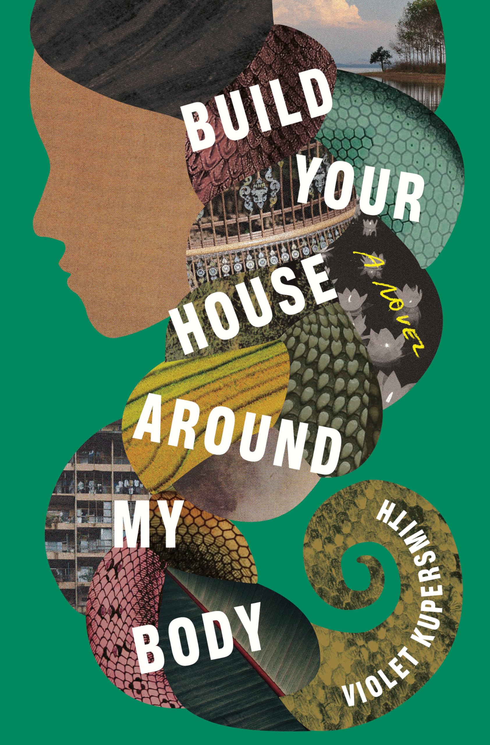 Build Your House Around My Body: A Novel Contemporary literature