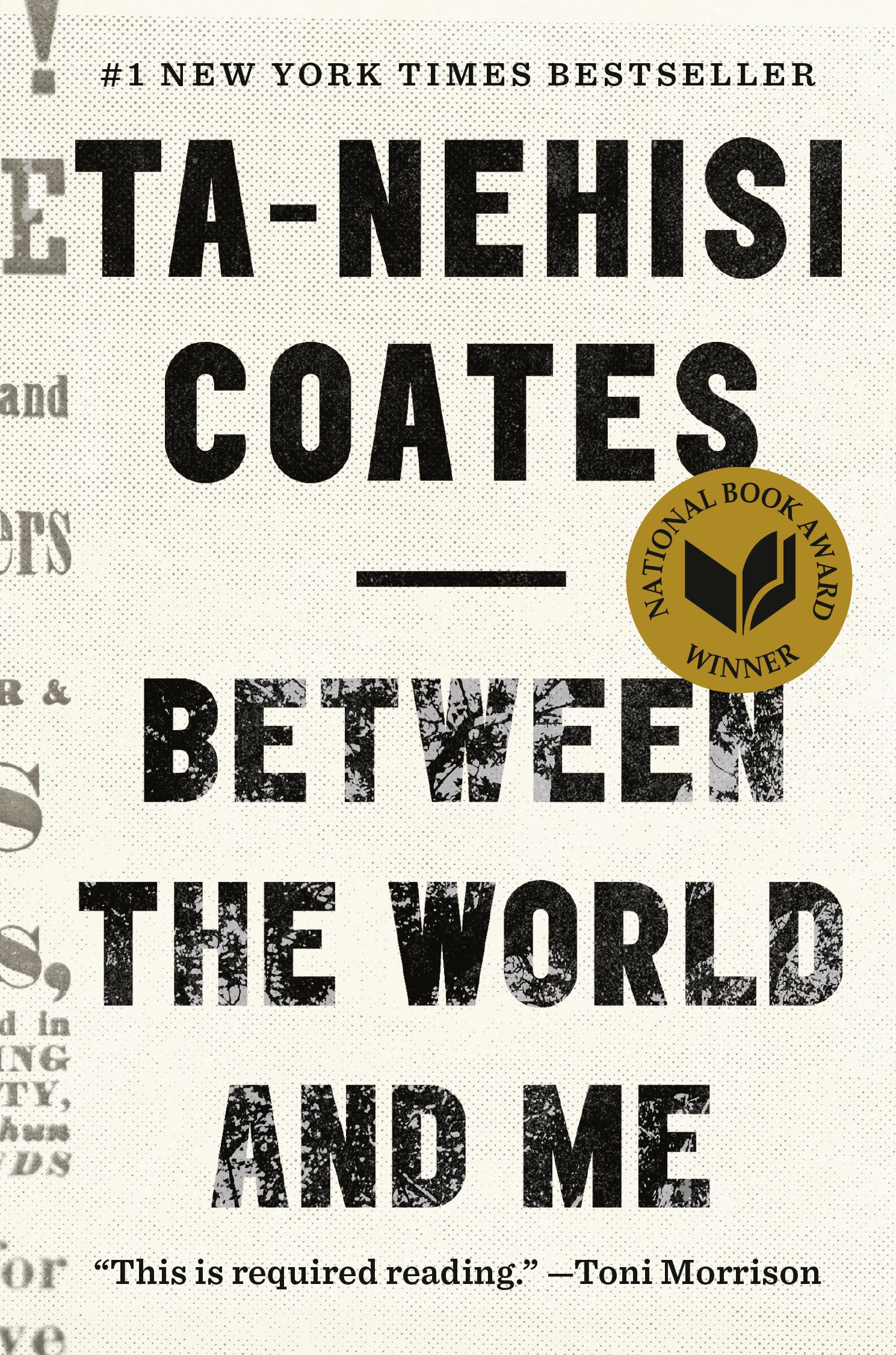 Product Image: Between the World and Me
