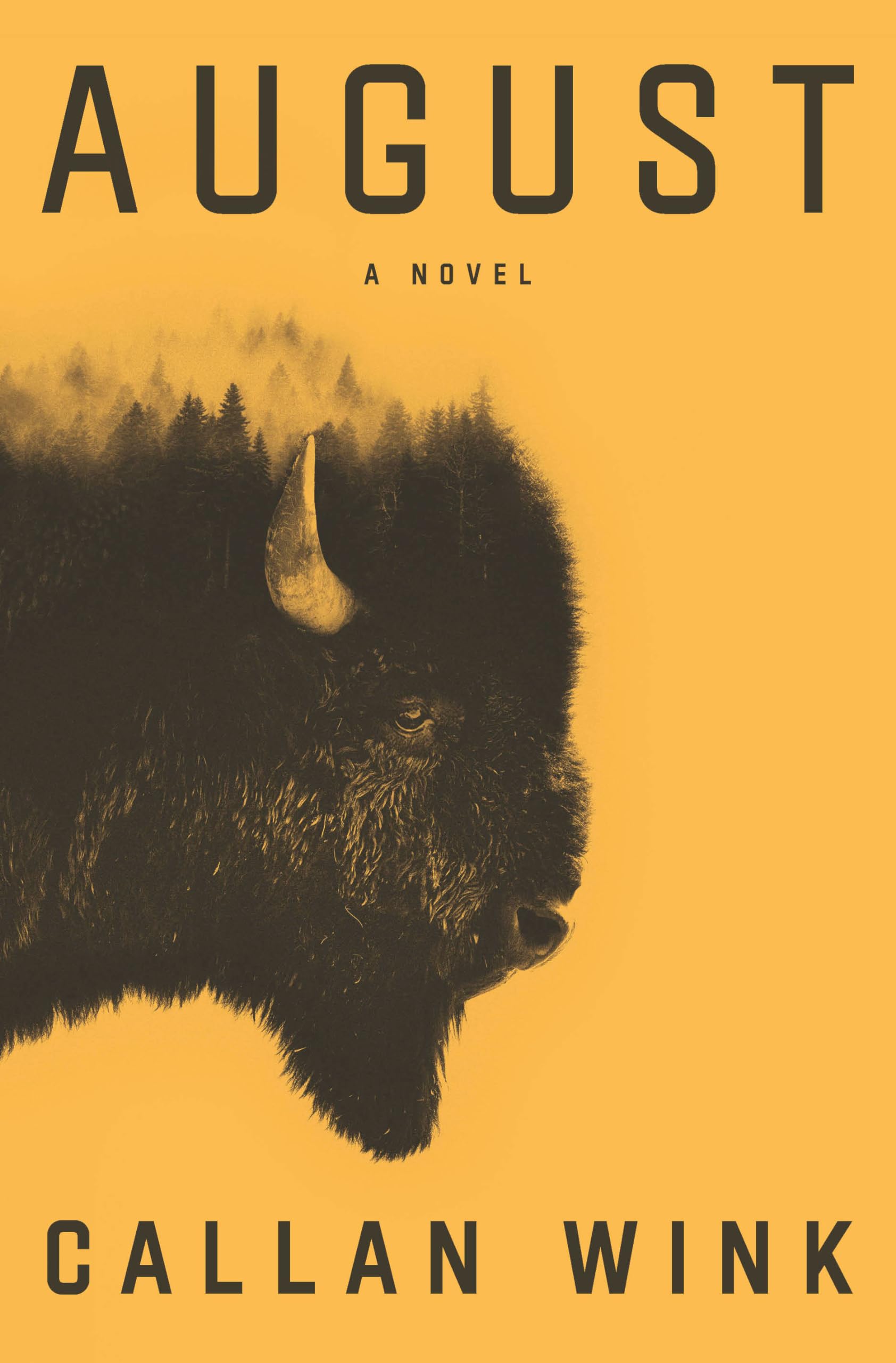 August: A Novel Contemporary literature Books
