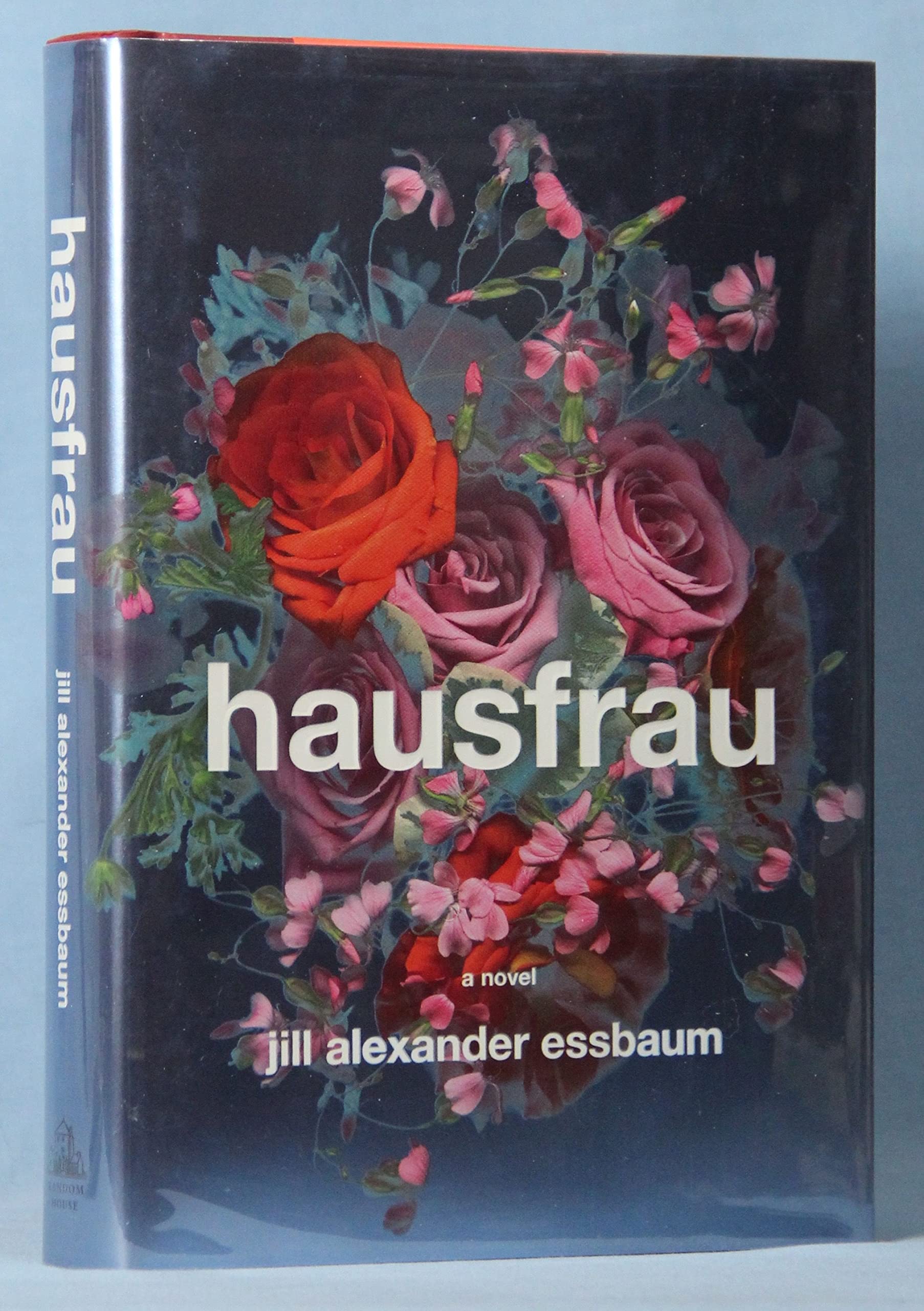 Hausfrau Contemporary literature Books