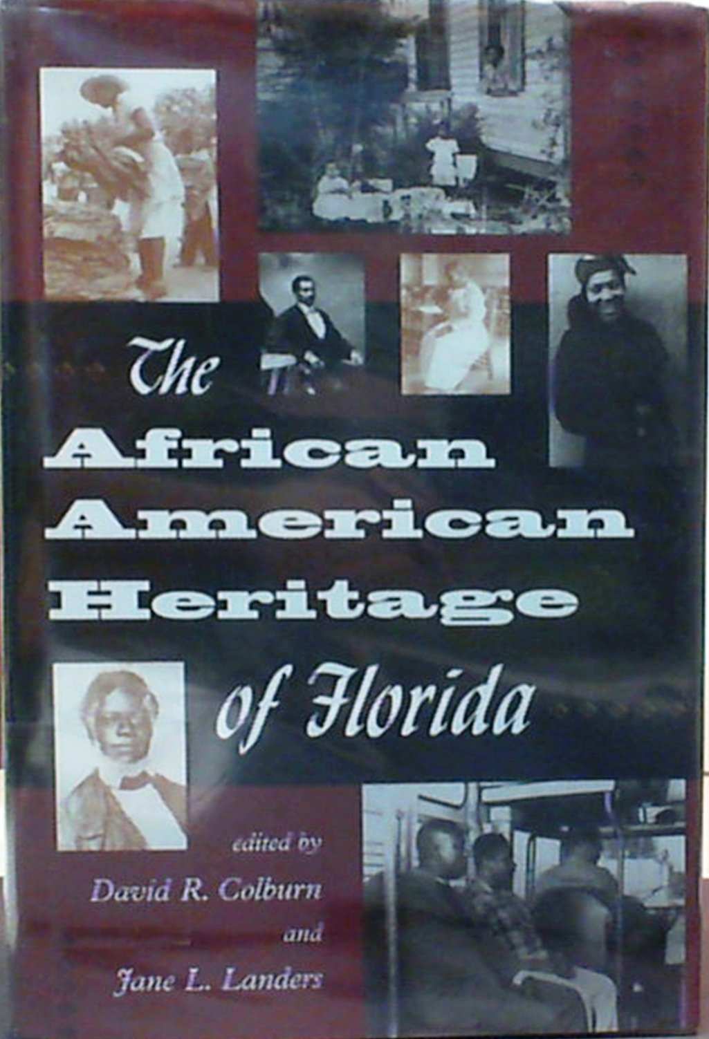 The African American Heritage of Florida Social Sciences