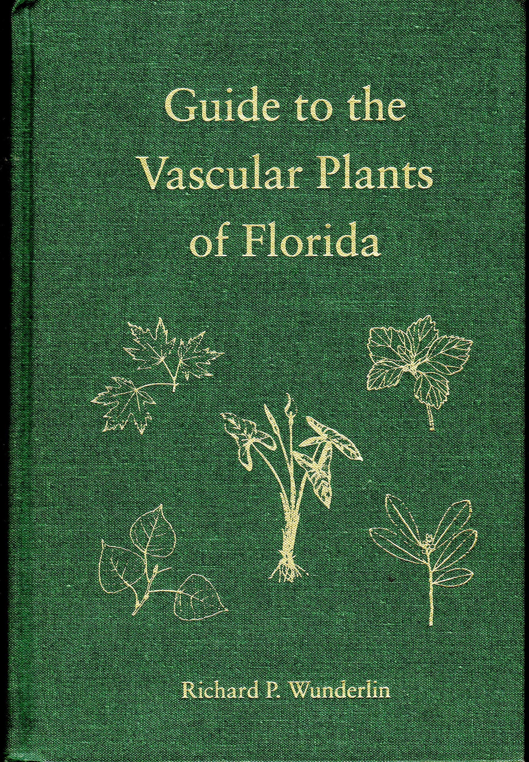 A Guide to the Vascular Plants of Florida Mathematics