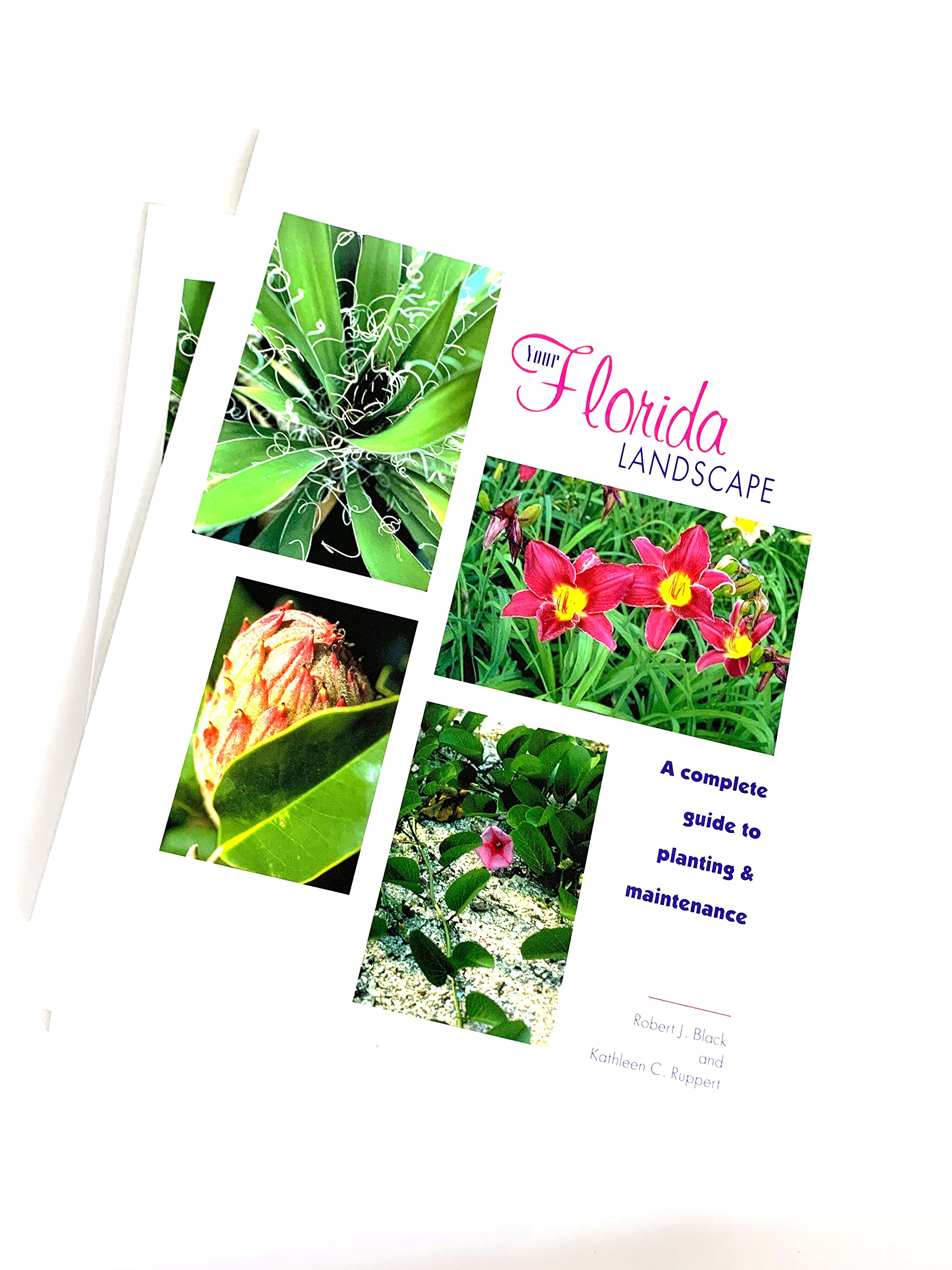 Your Florida Landscape: A Complete Guide to Planting and Maintenance : Trees, Palms, Shrubs, Ground Covers and Vines Garden & Plants