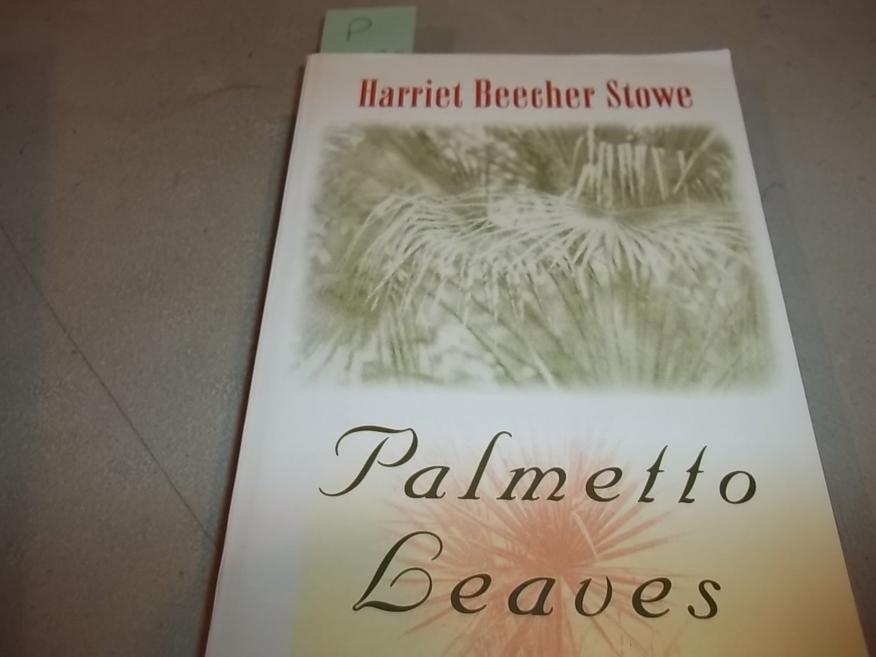 Palmetto Leaves (Florida Sand Dollar Book) Classics