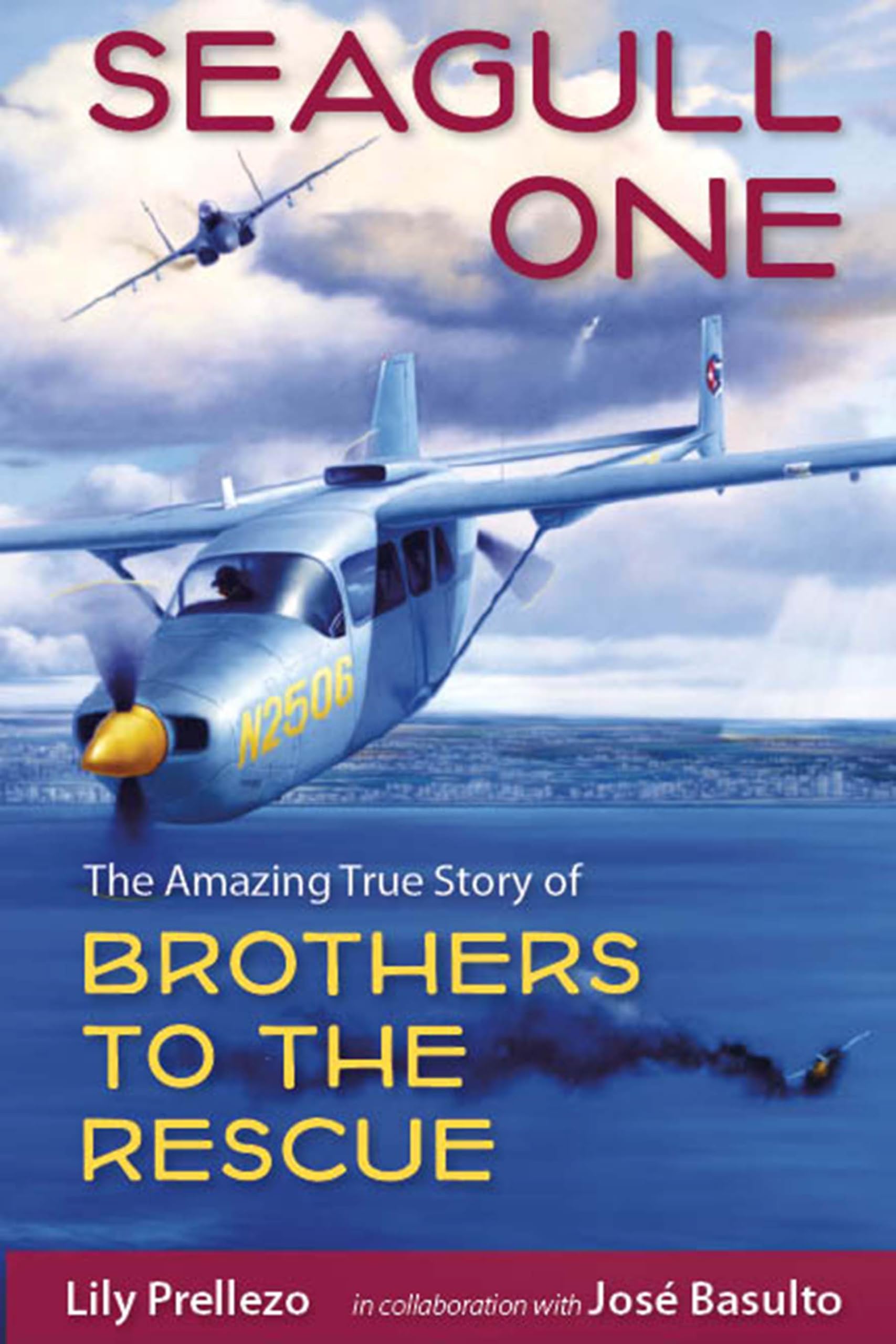 Seagull One: The Amazing True Story of Brothers to the Rescue Film, Art & Culture