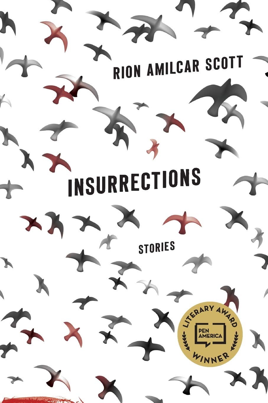 Insurrections: Stories book