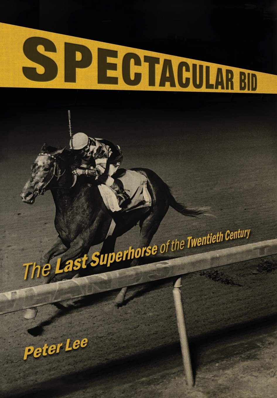 Spectacular Bid: The Last Superhorse of the Twentieth Century (Horses in History) Mathematics