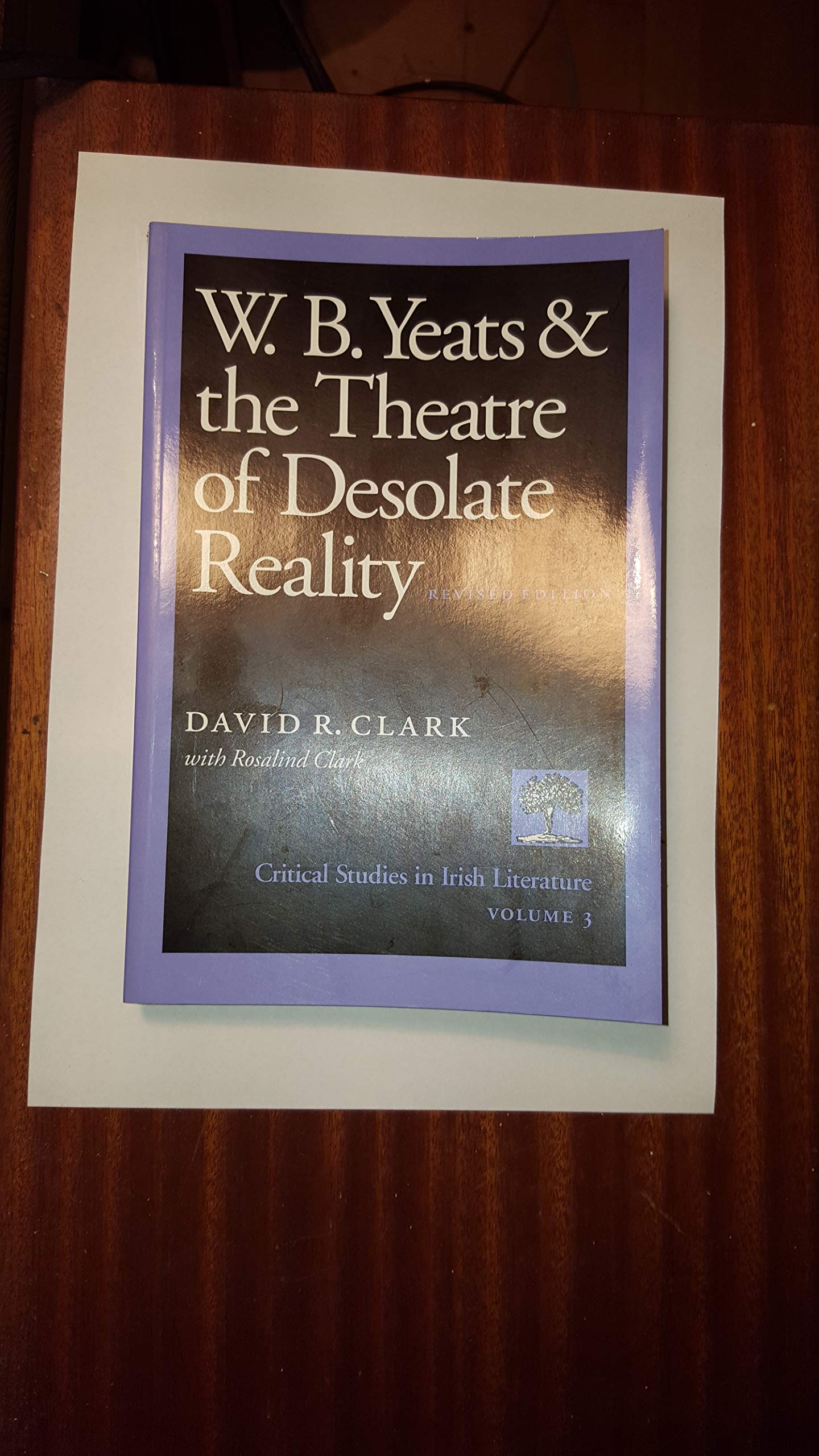 W.B. Yeats and the Theatre of Desolate Reality (Critical Studies in Irish Literature, Vol 3) Contemporary literature