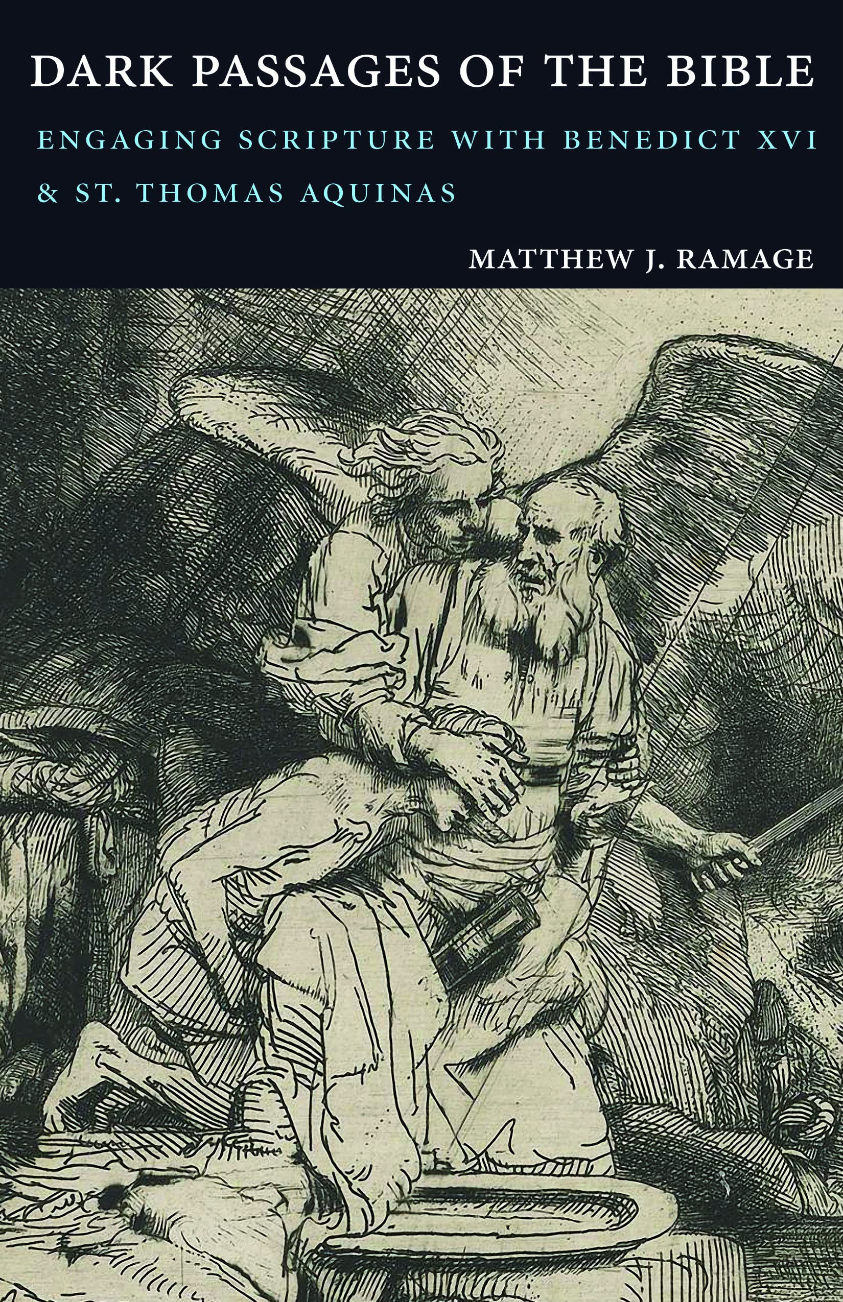 Dark Passages of the Bible: Engaging Scripture with Benedict XVI and St. Thomas Aquinas Social Sciences