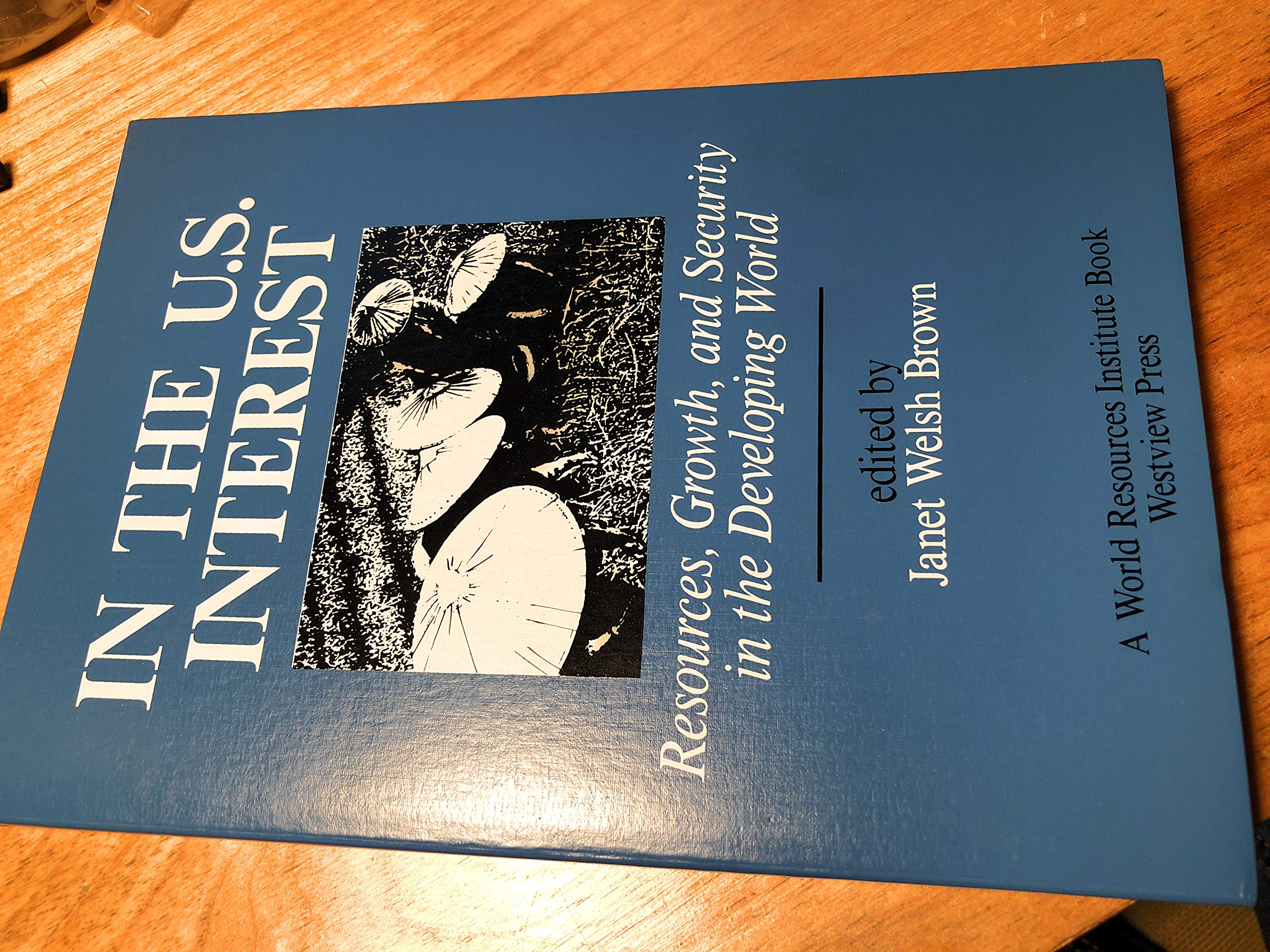 In The U.s. Interest: Resources, Growth, And Security In The Developing World (World Resources Institute Book) Business, Finance & Career