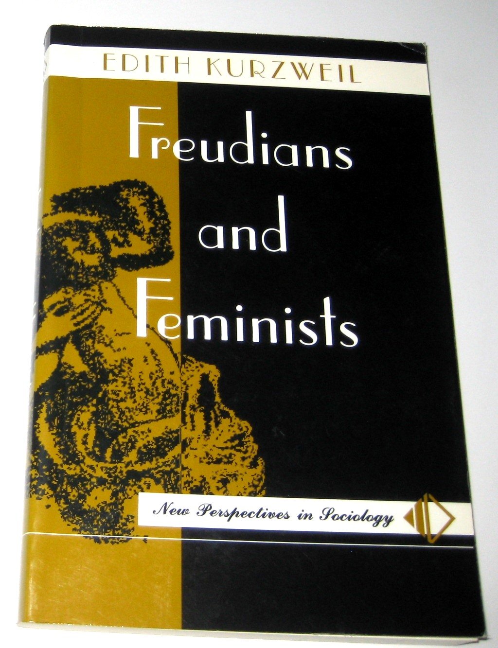 Freudians And Feminists (New Perspectives in Sociology) Books