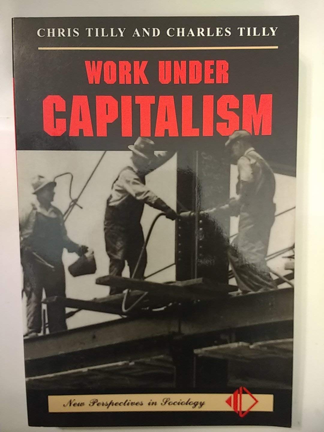 Work Under Capitalism (New Perspectives in Sociology (Boulder, Colo.).) Social Sciences