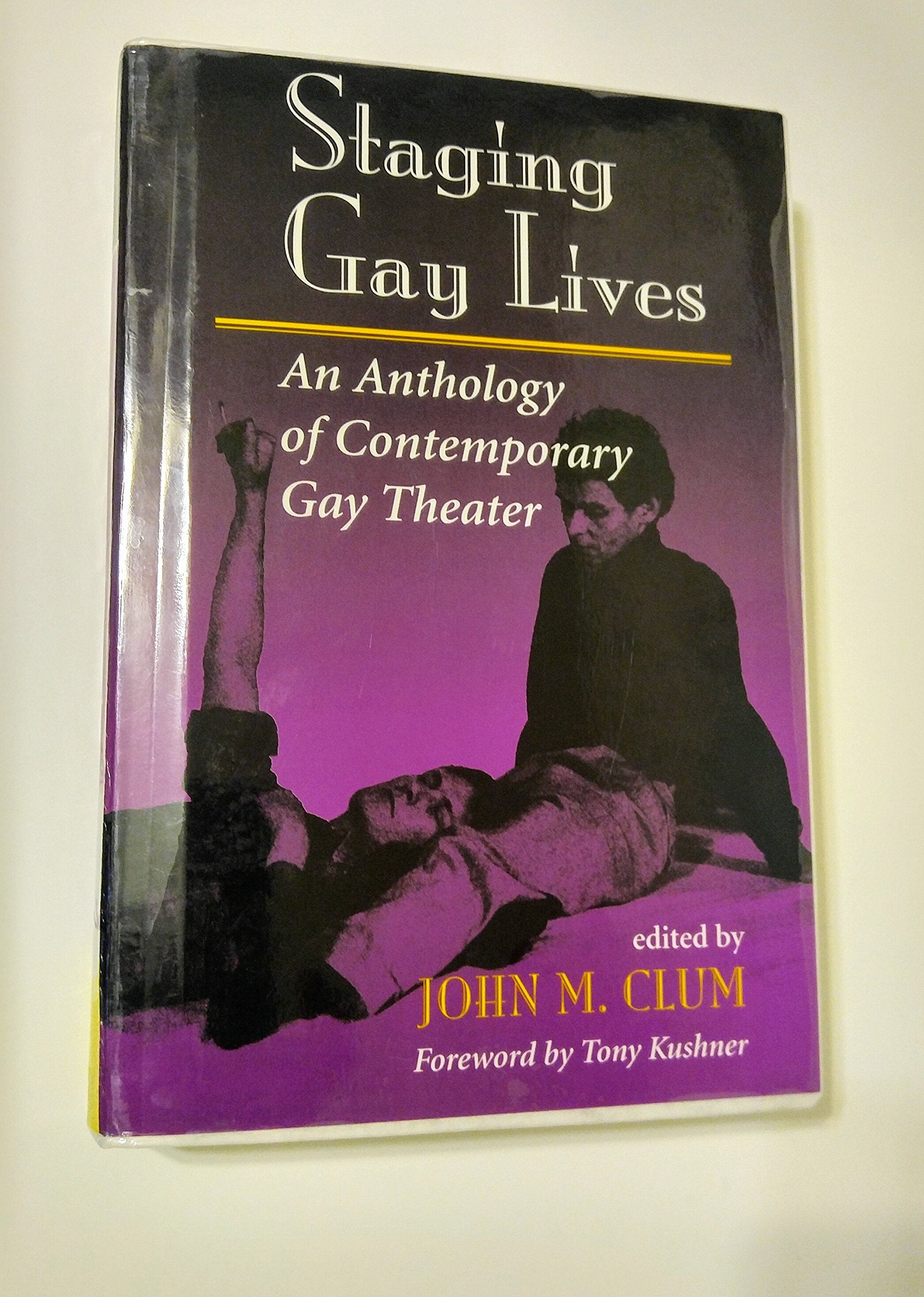 Staging Gay Lives: An Anthology Of Contemporary Gay Theater Books
