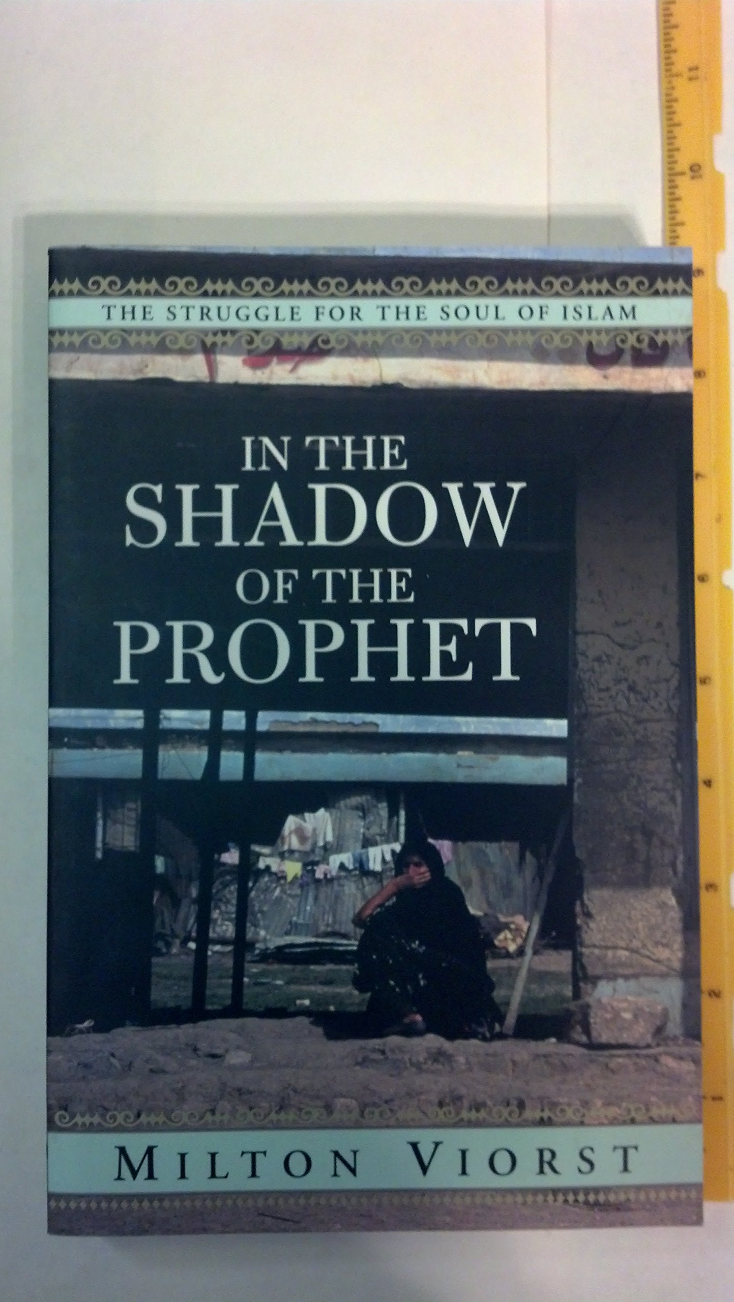 In The Shadow Of The Prophet: The Struggle for the Soul of Islam Struggle For The Soul Of Islam Social Sciences