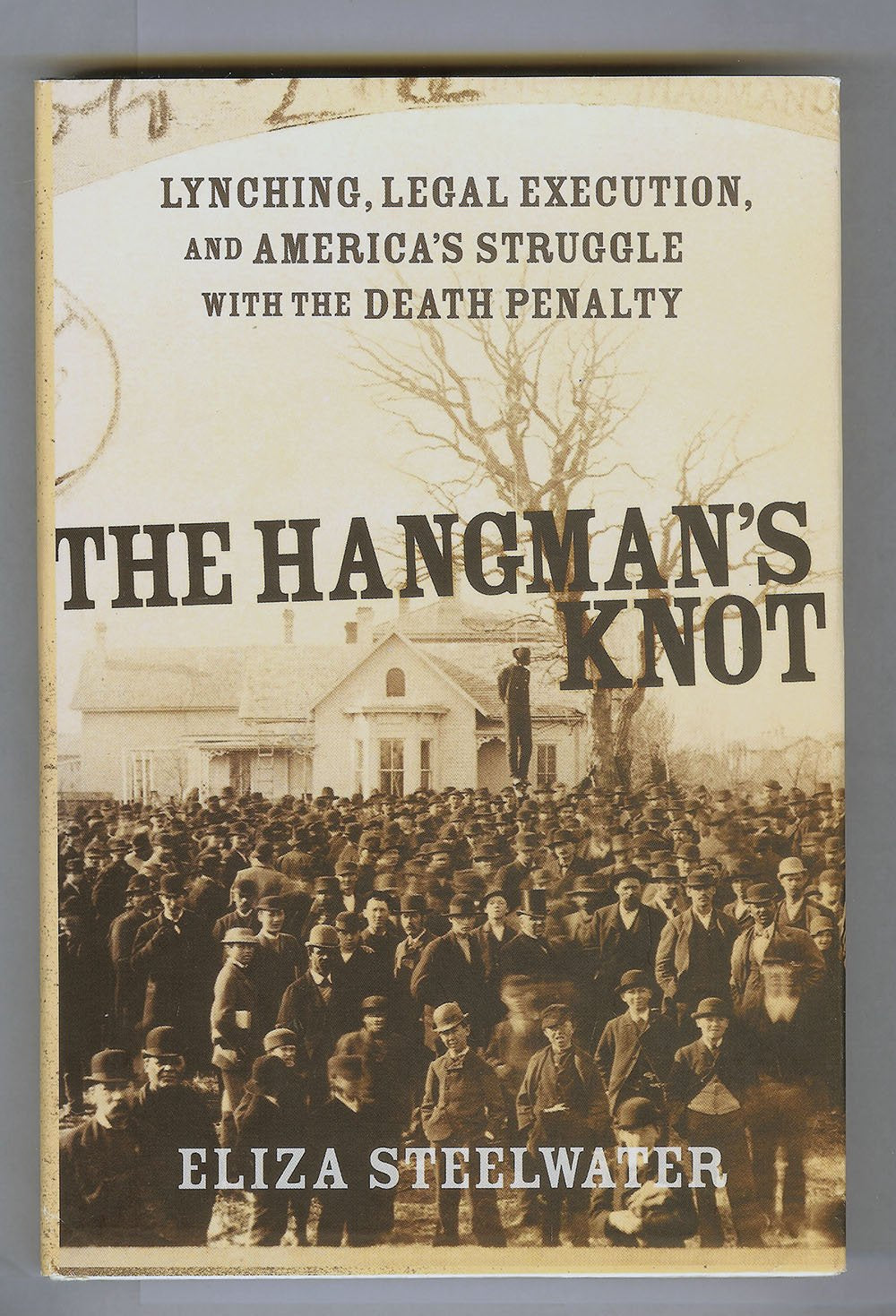 The Hangman's Knot: Lynching, Legal Execution, And America's Struggle With The Death Penalty: Lynching, Legal Execution and America's Love Affair with the Death Penalty Law
