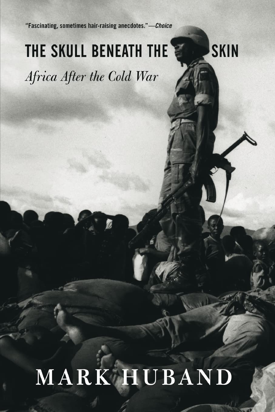 The Skull Beneath The Skin: Africa After The Cold War Social Sciences