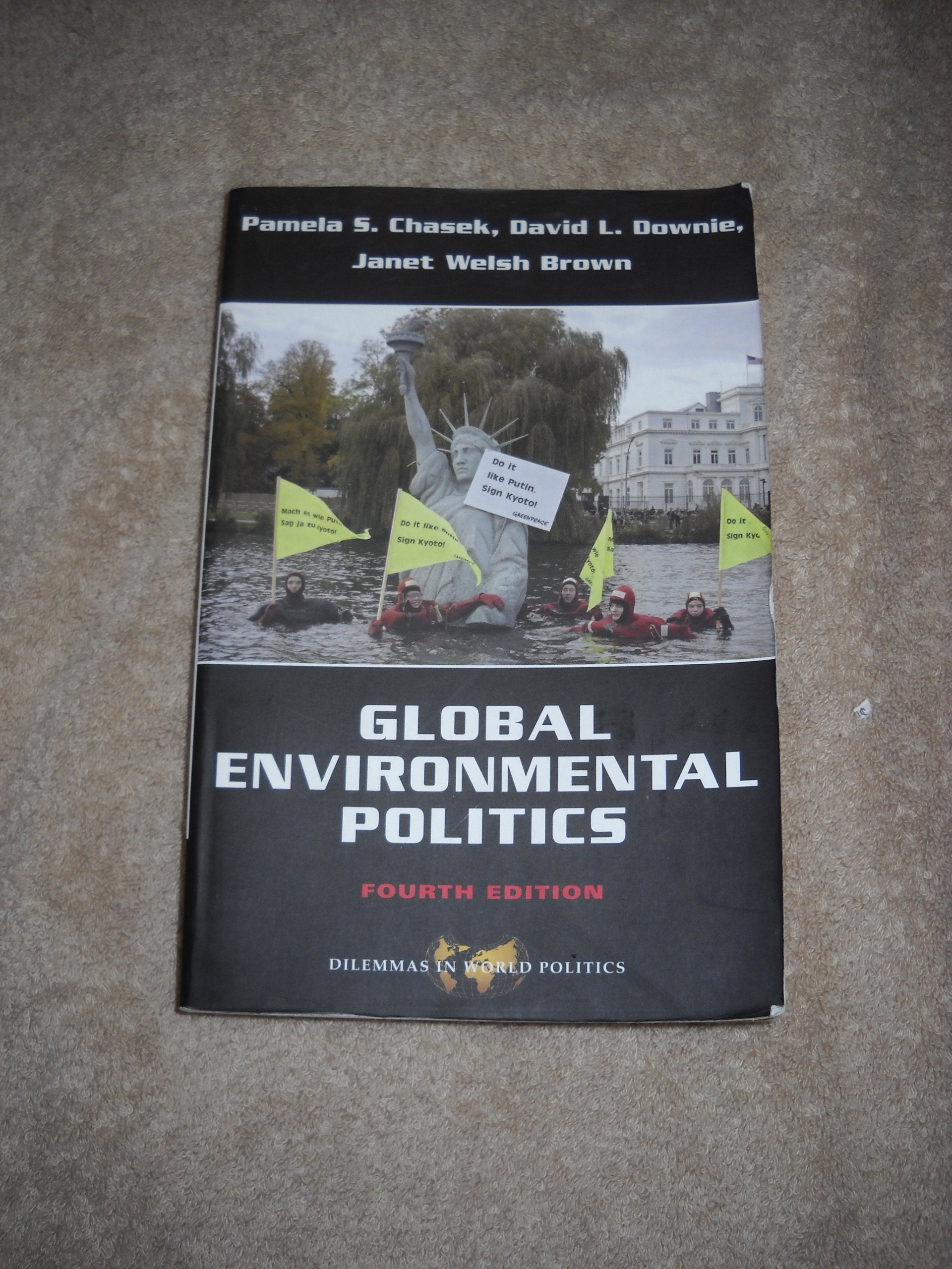 Global Environmental Politics (Dilemmas in World Politics) Business, Finance & Career