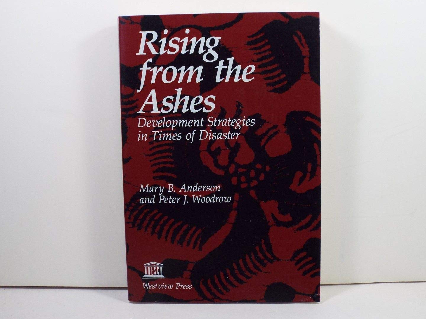 Rising From The Ashes: Development Strategies In Times Of Disaster Books