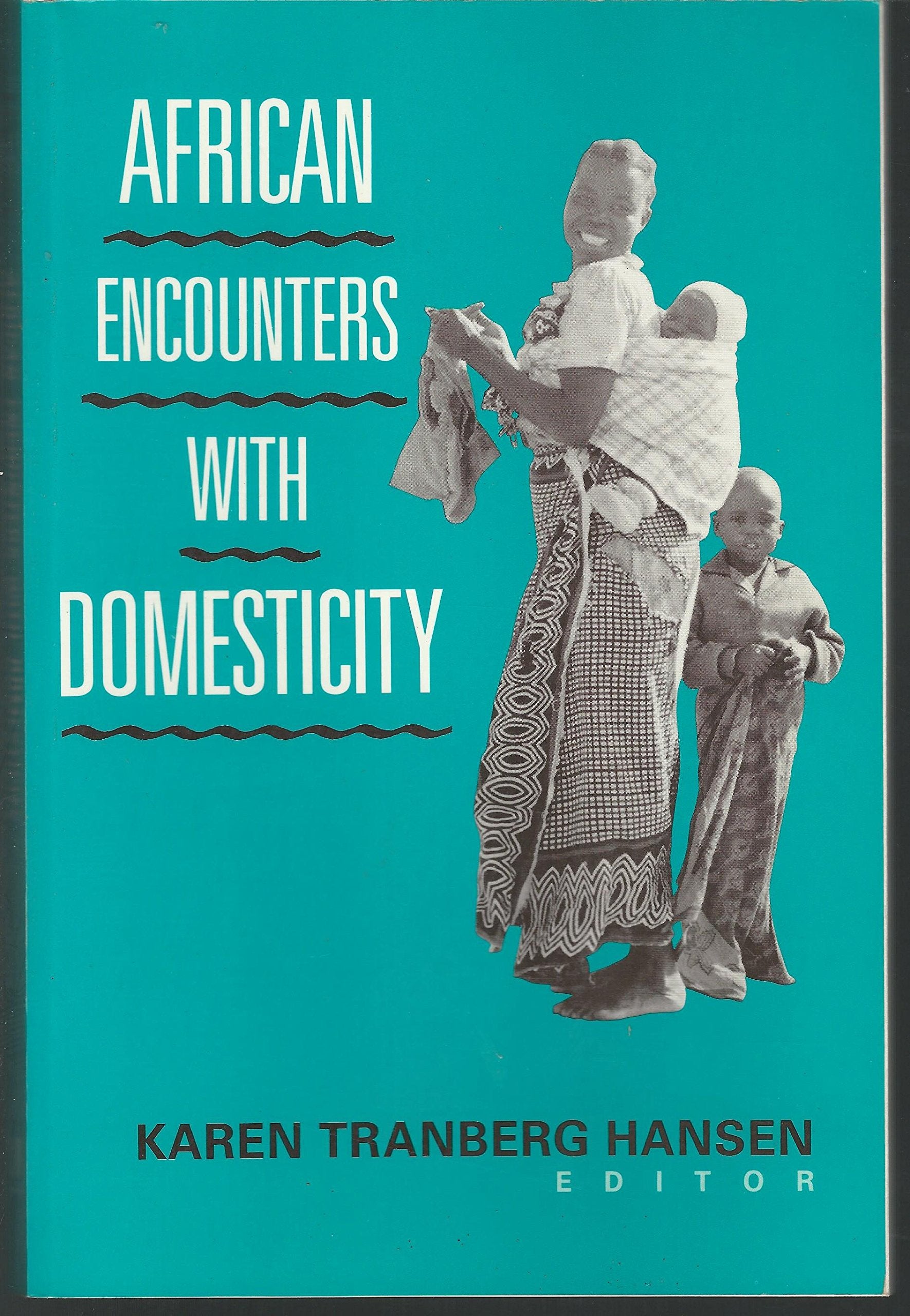 African Encounters With Domesticity Books