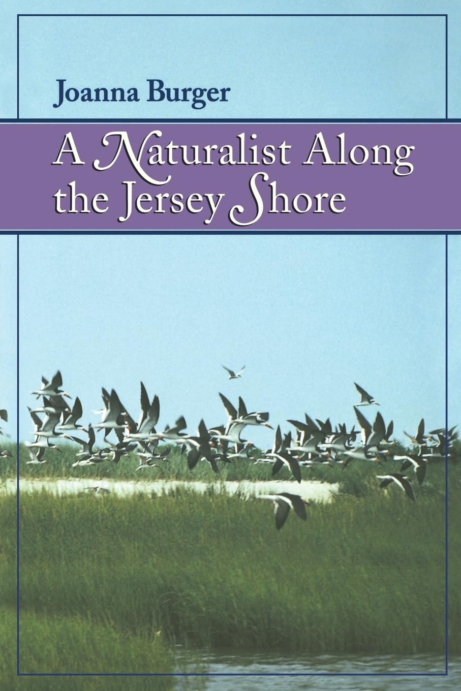 A Naturalist Along the Jersey Shore Mathematics