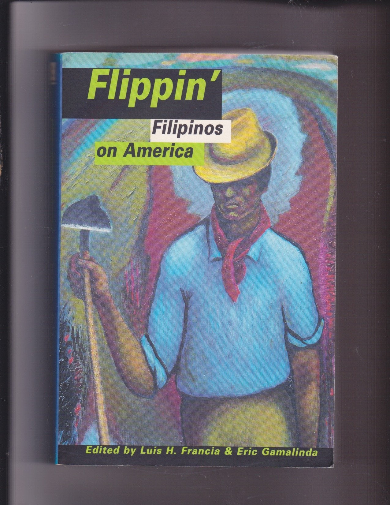 Flippin': Filipinos on America (Asian American Writers' Workshop) General education