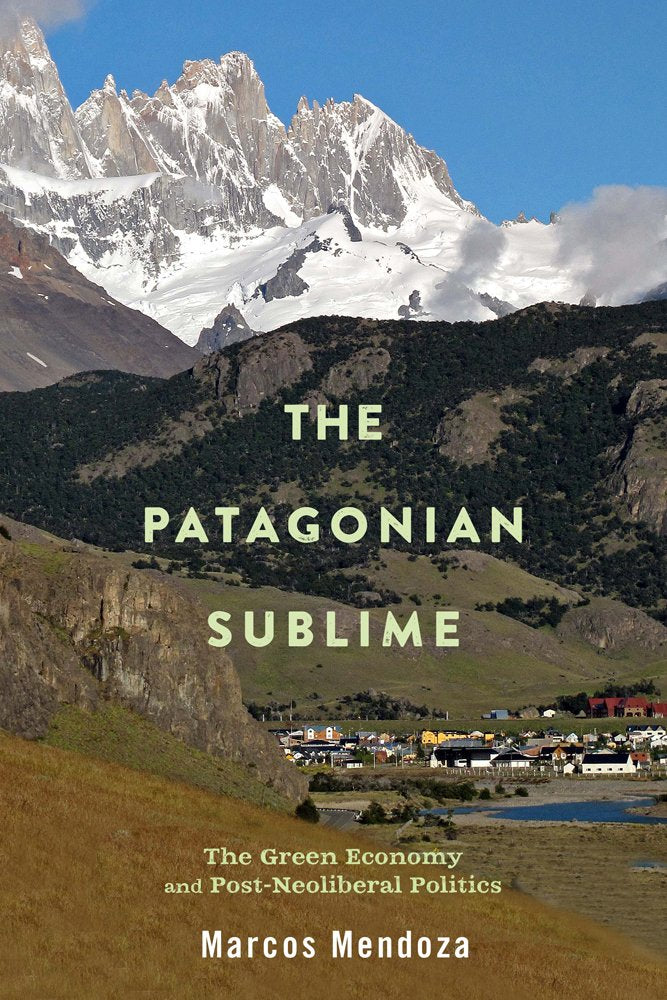The Patagonian Sublime: The Green Economy and Post-Neoliberal Politics book