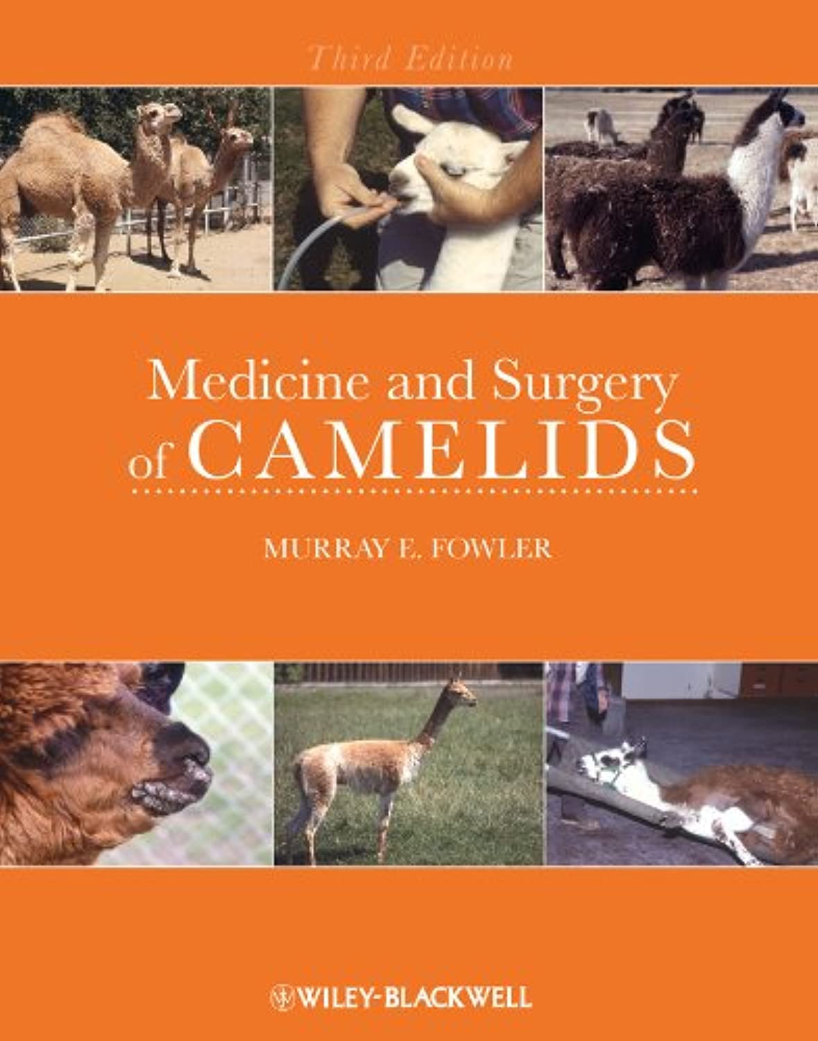 Medicine and Surgery of Camelids Medicine