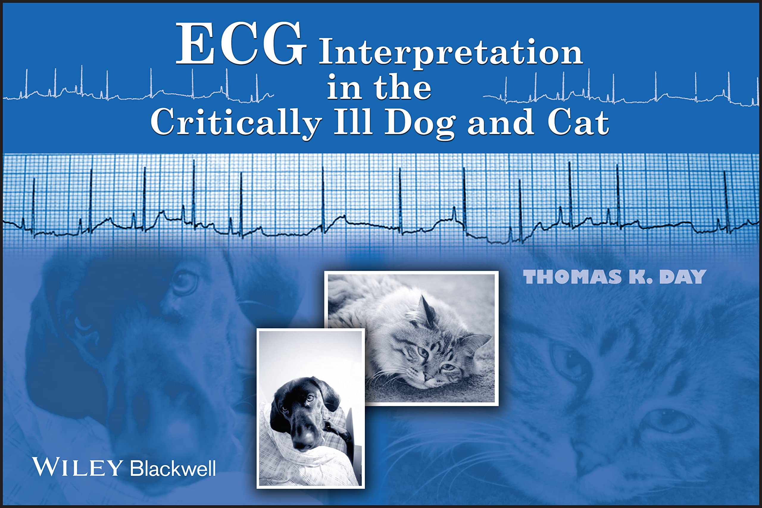 ECG Interpretation in the Critically Ill Dog and Cat Medicine