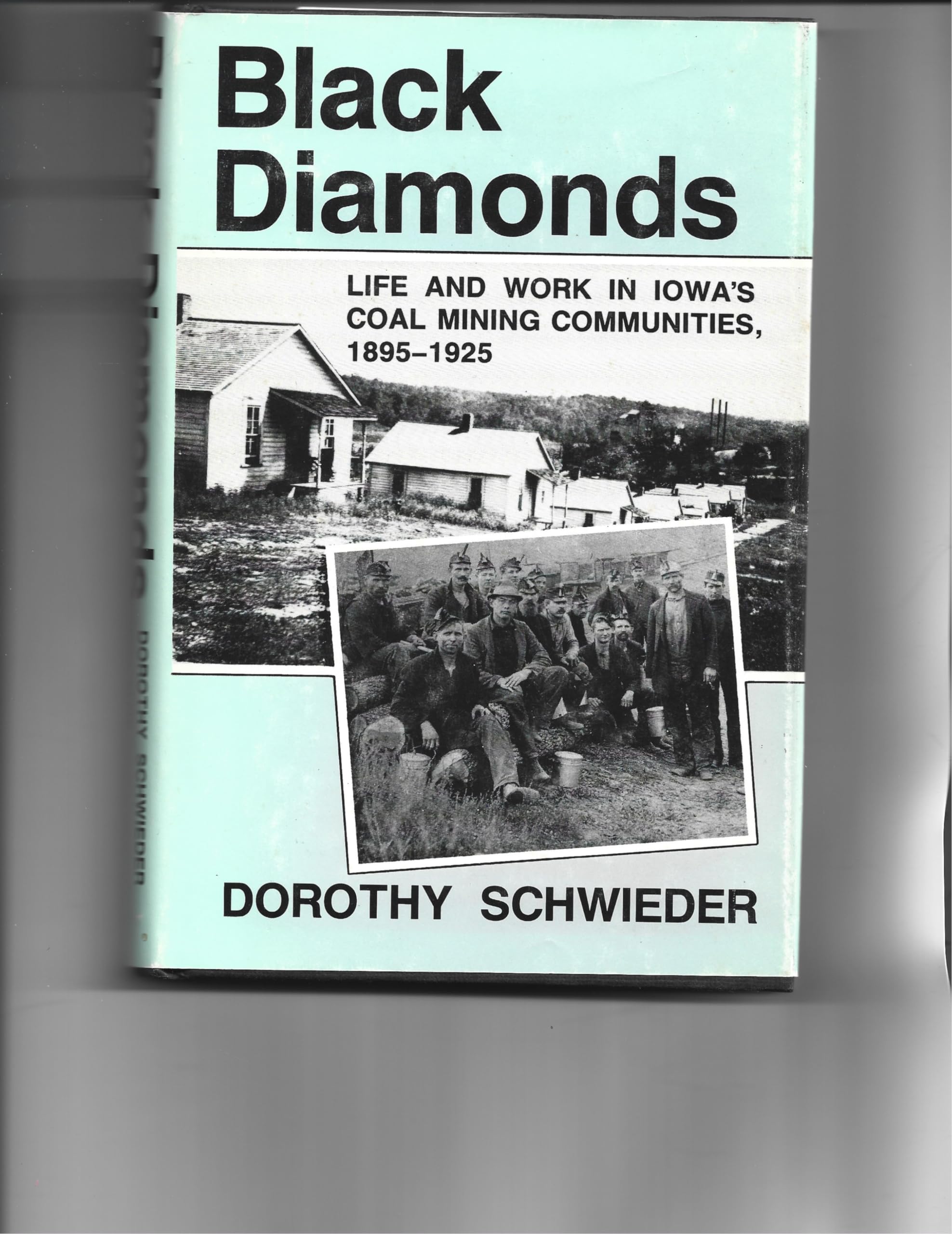 Black Diamonds: Life and Work in Iowa's Coal Mining Communities, 1895-1925 Business, Finance & Career