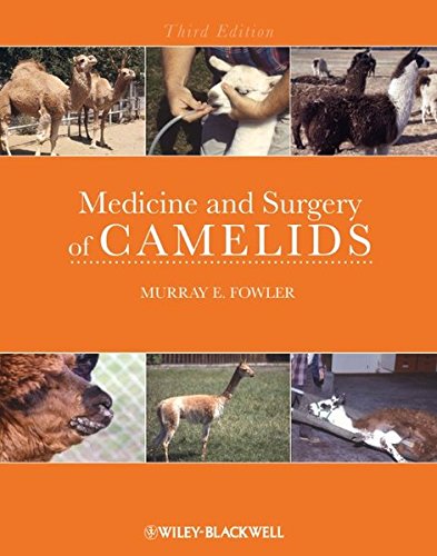 Product Image: Medicine and Surgery of Camelids
