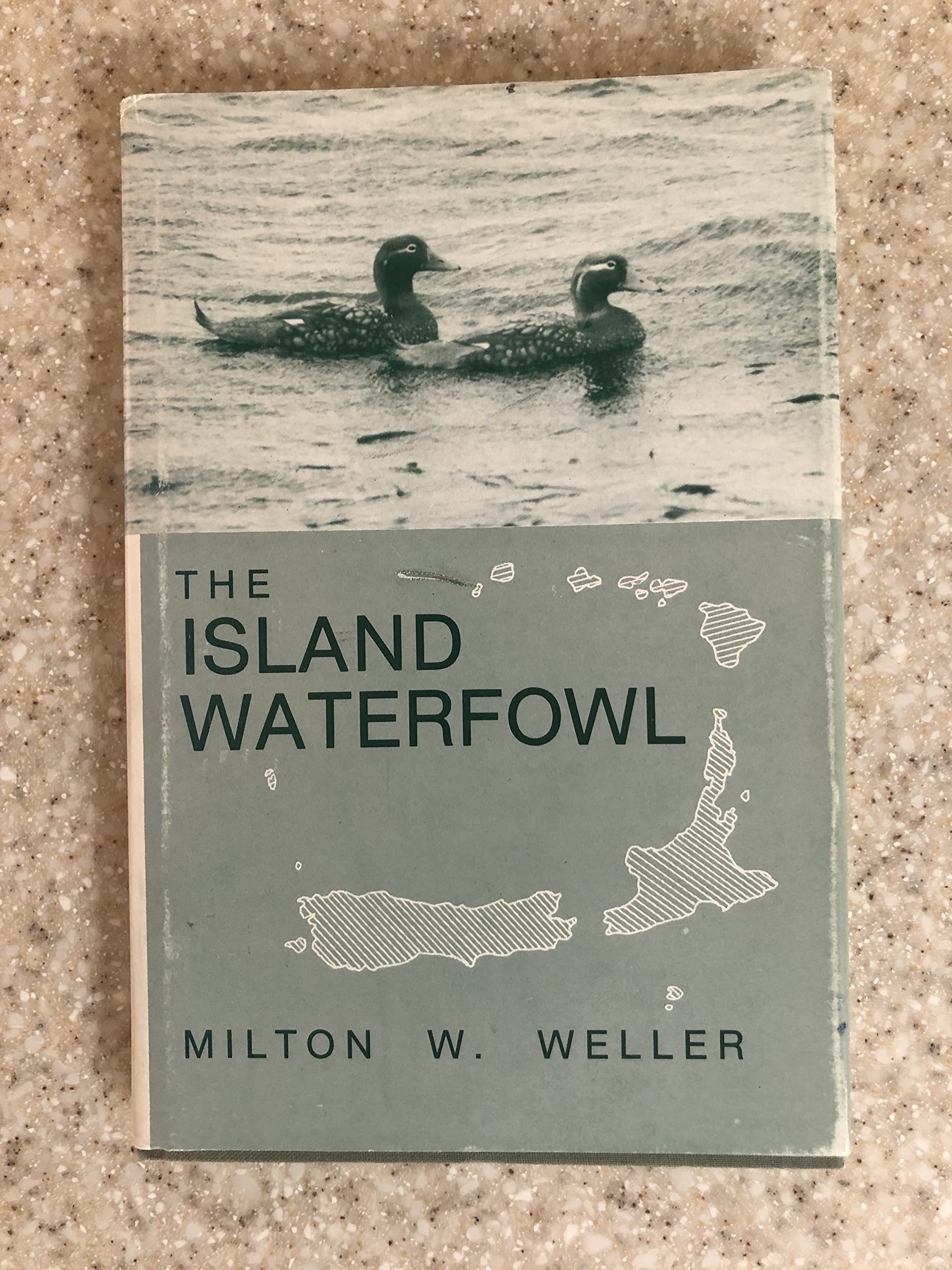 The Island Waterfowl Mathematics