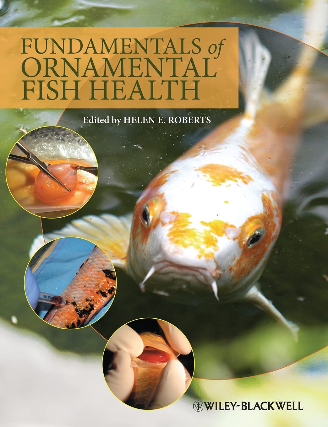 Fundamentals of Ornamental Fish Health Medicine